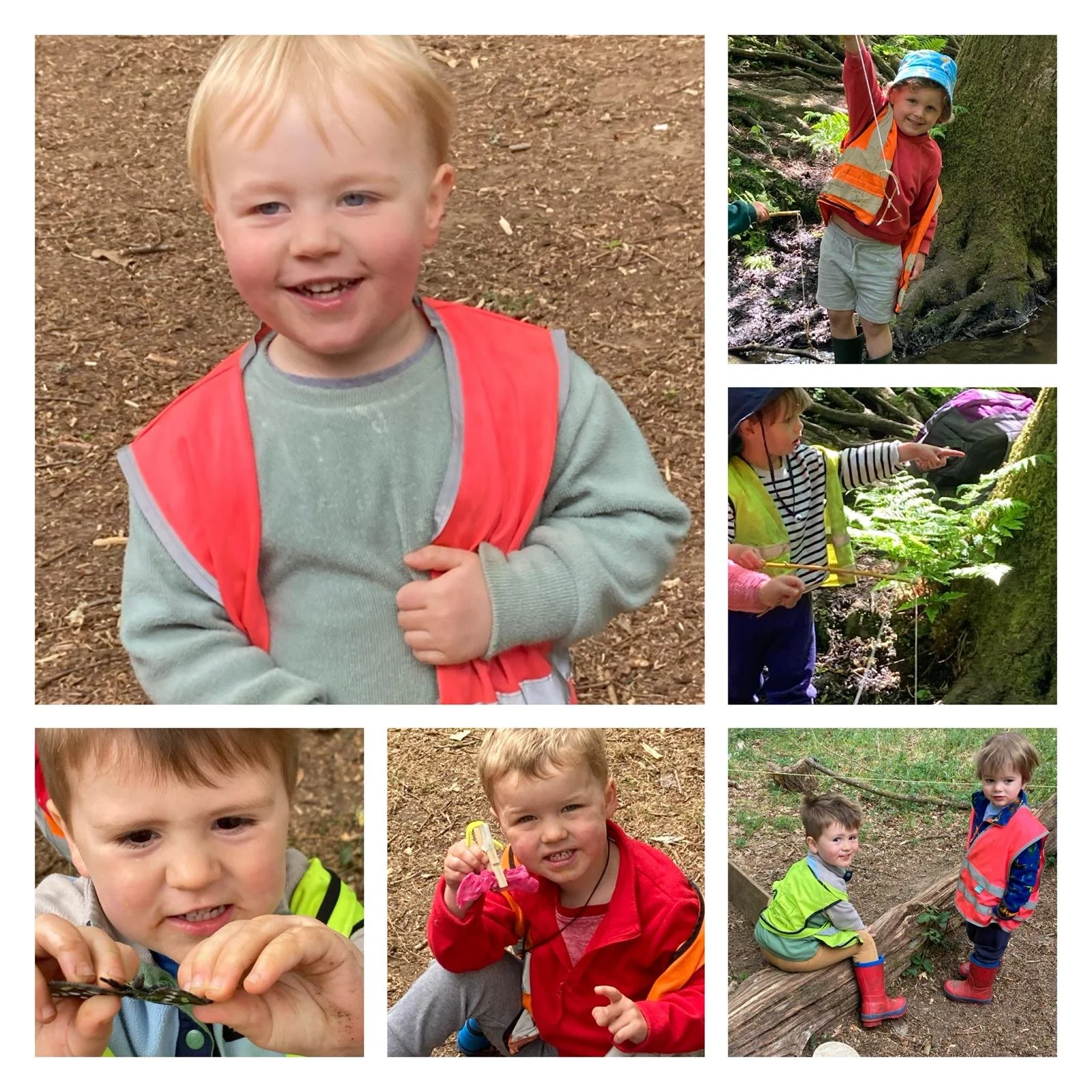 Winkworth -  Bugs, Beetles and Bird Watching!