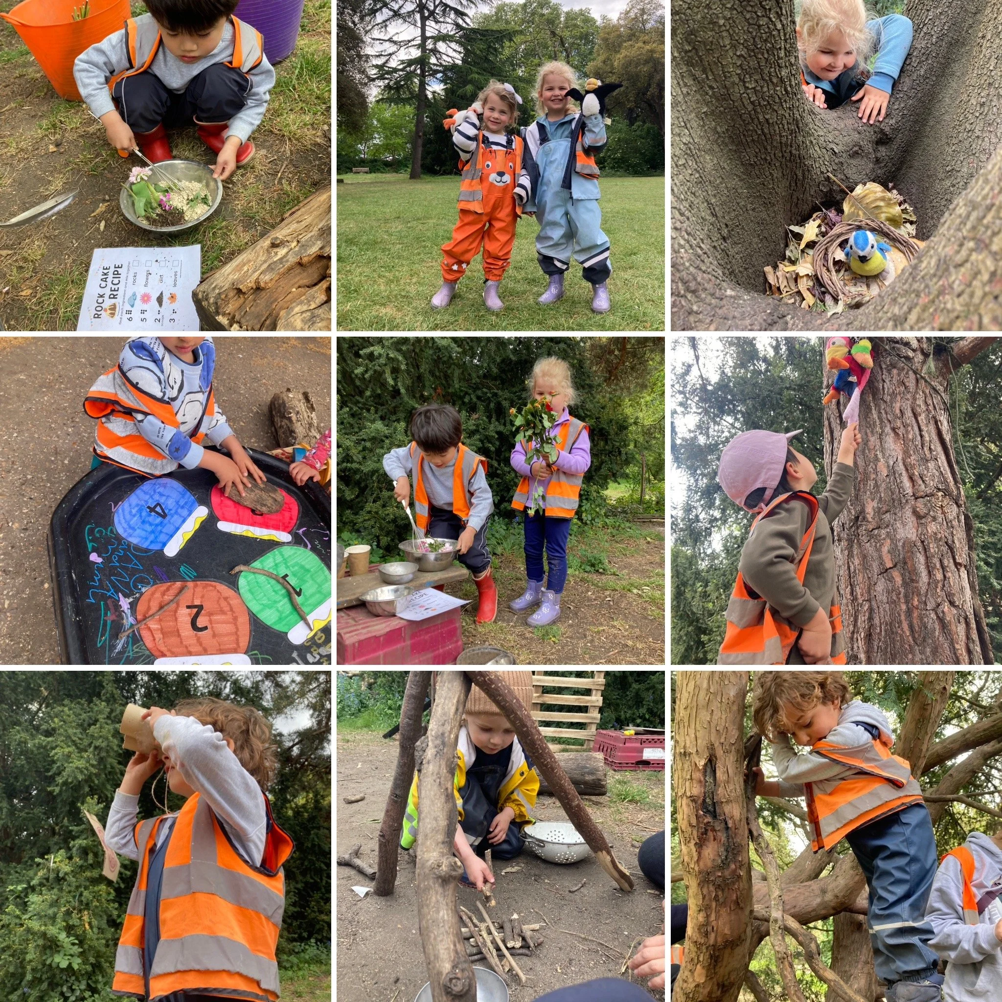 Fulham - 🐣 🪶🦜🪺🪾🌳All Things Birds