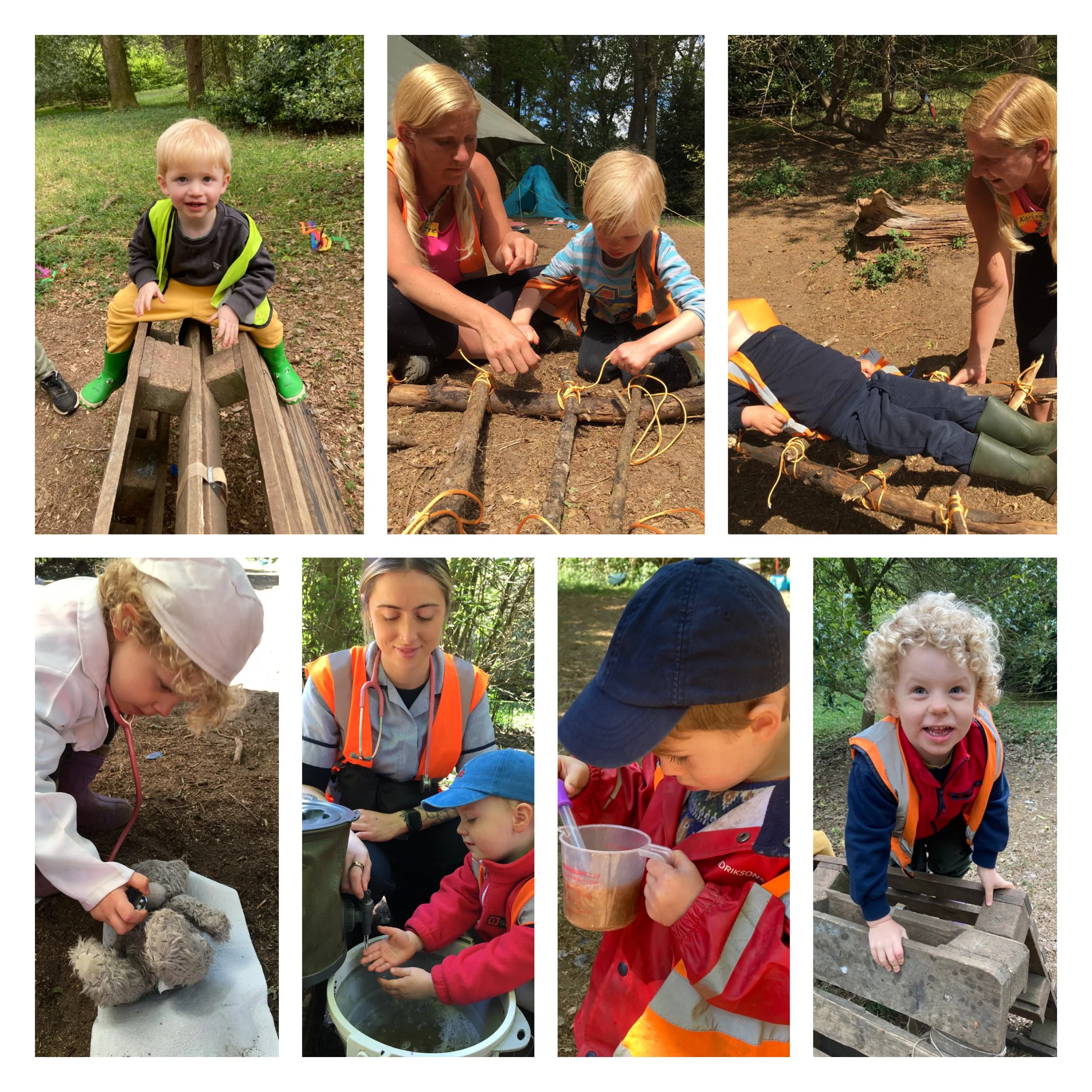Winkworth -  Exploring Small Woodland Worlds