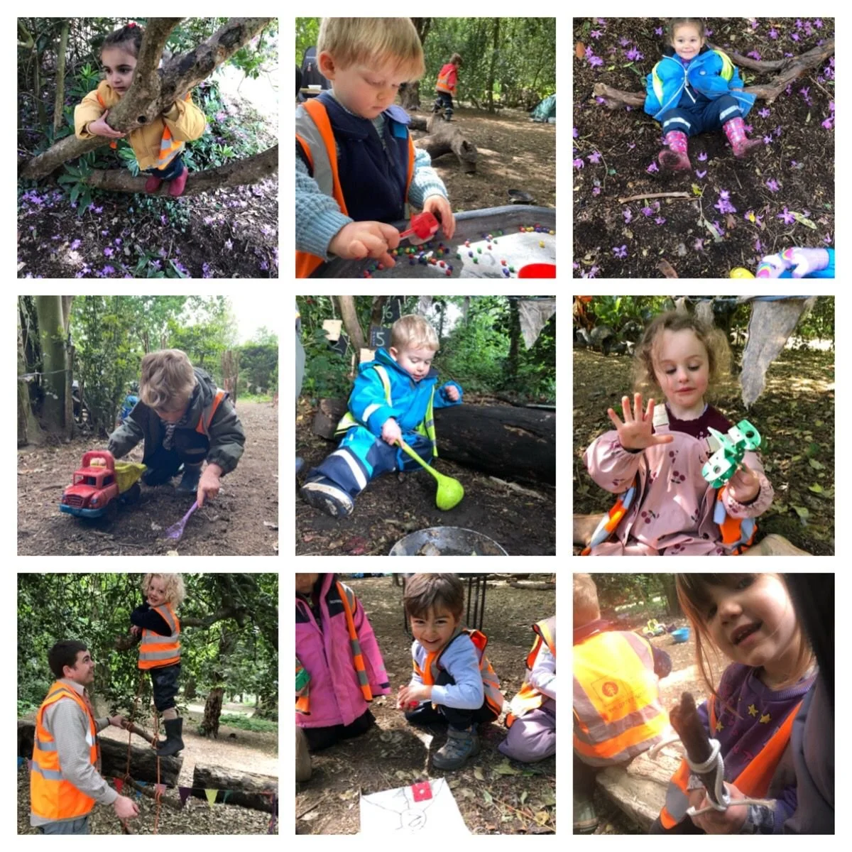 Chiswick  -  A Home Made Ladder and an Exciting Climbing Challange
