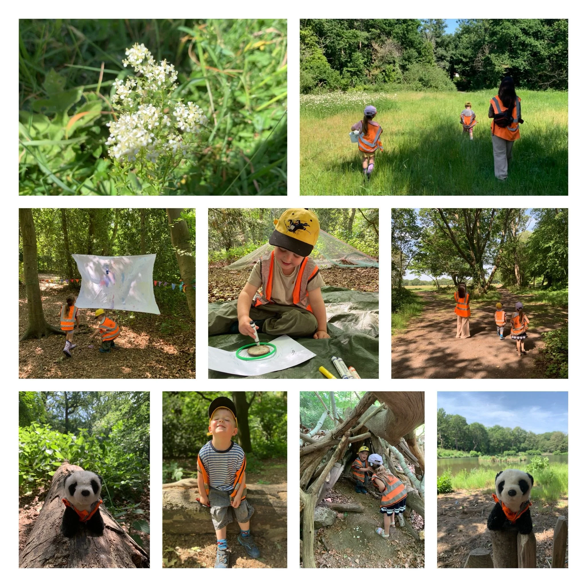 Putney Heath - New Adventures at Robin Camp
