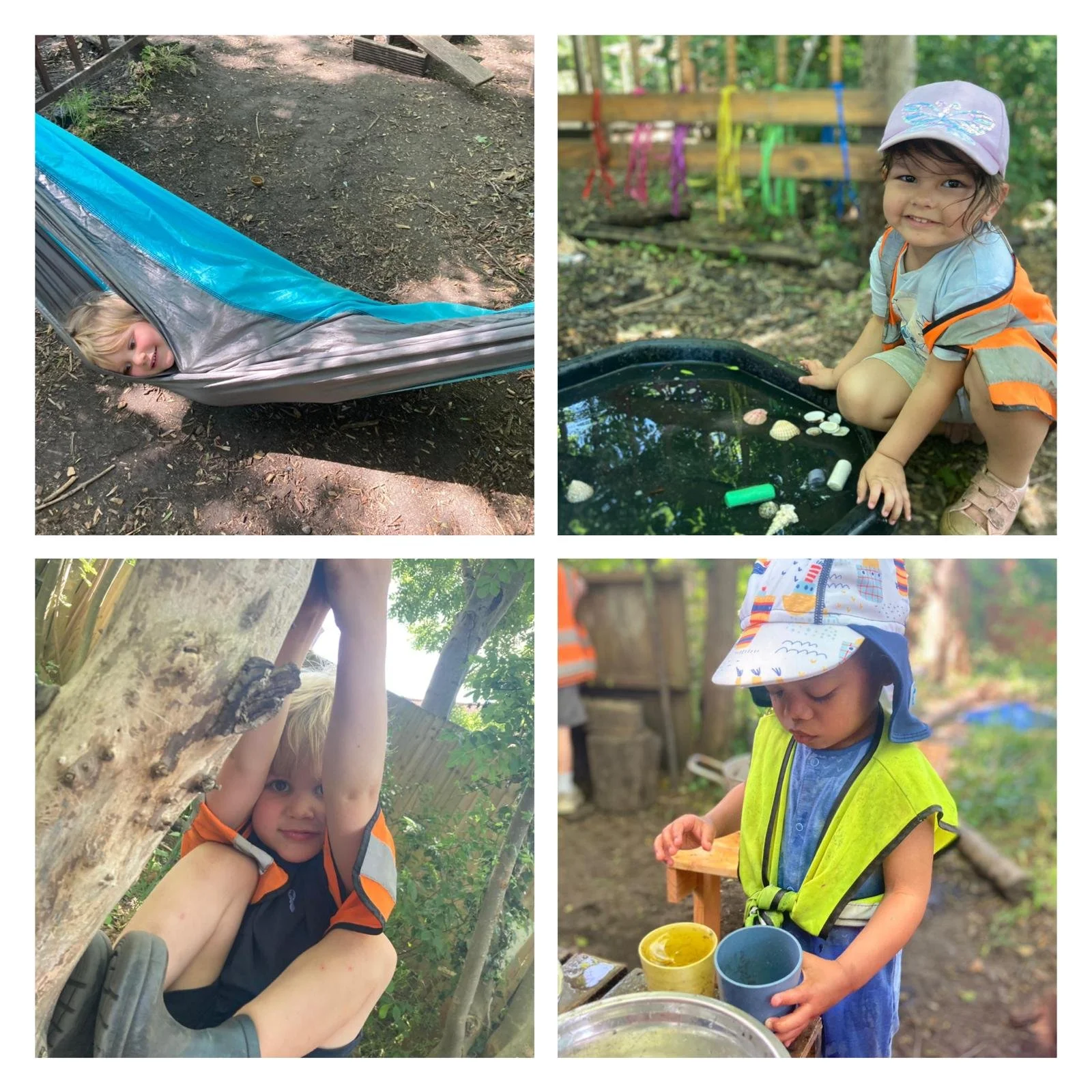 Morden - ⭐️The Hammock is Back!