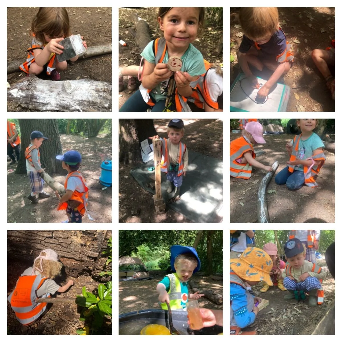 Chiswick  - Exploring Nature Around Us!