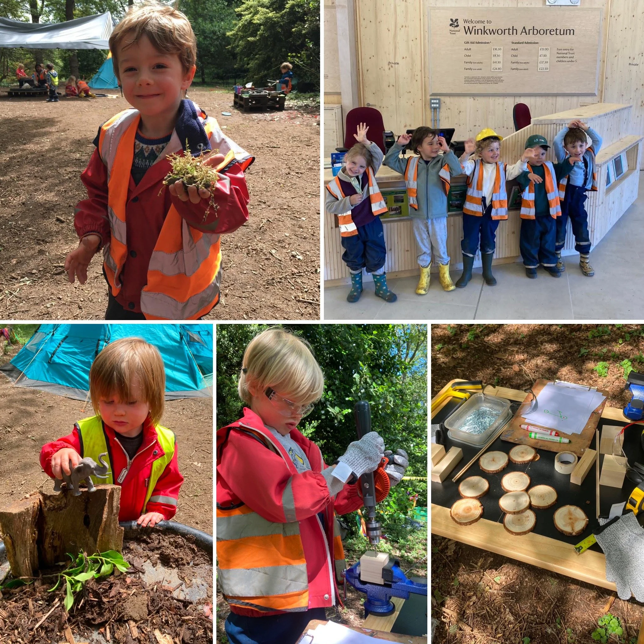 Winkworth -  Insects and Our Ecosystem!