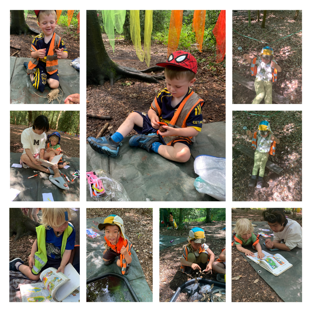Putney Heath - Bees and Butterflies!