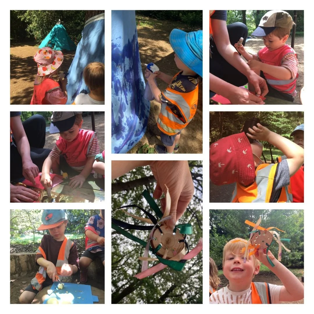 Winkworth - Insects, Bugs and Birds!