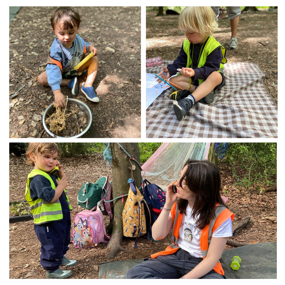 Putney Heath - Fascinating World of Bees!
