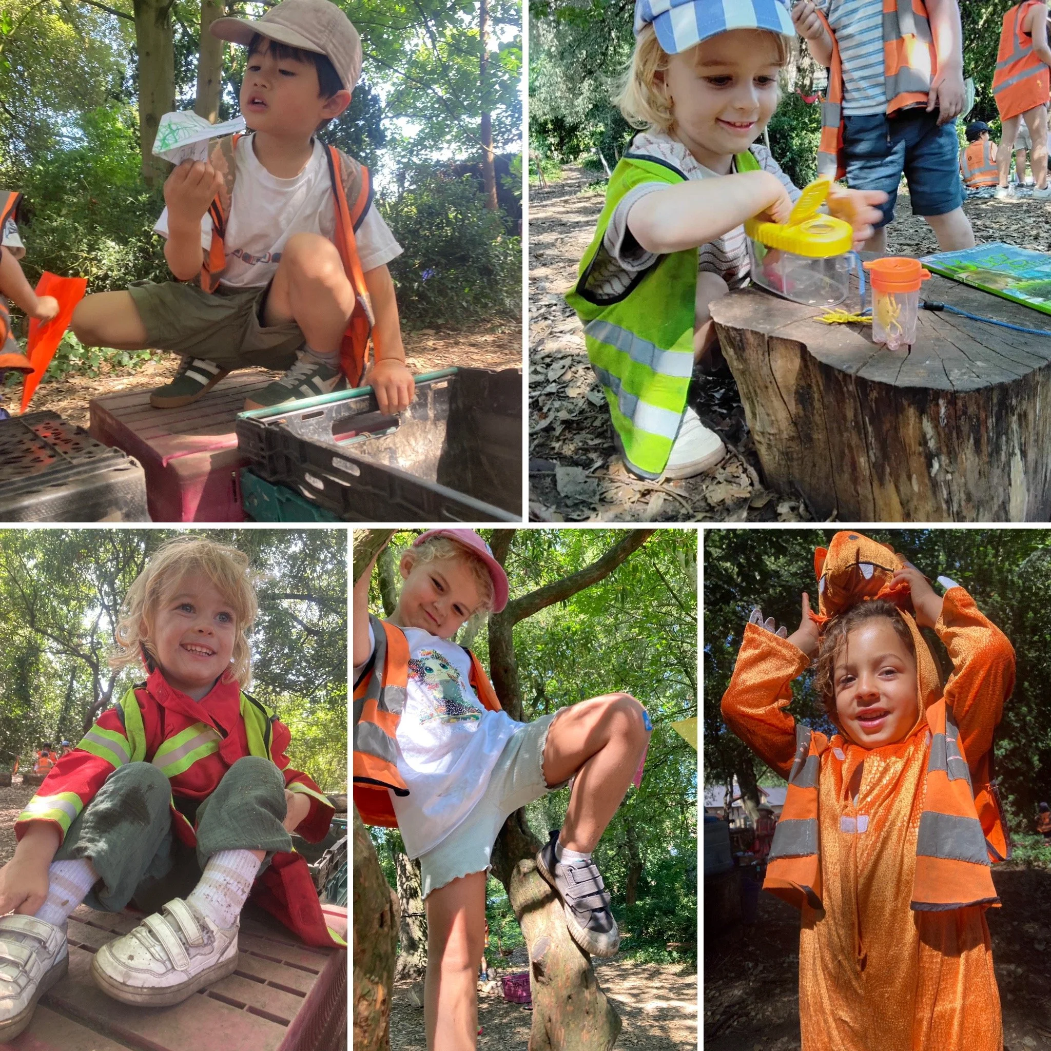 Fulham - Little Forest Folk Safari!