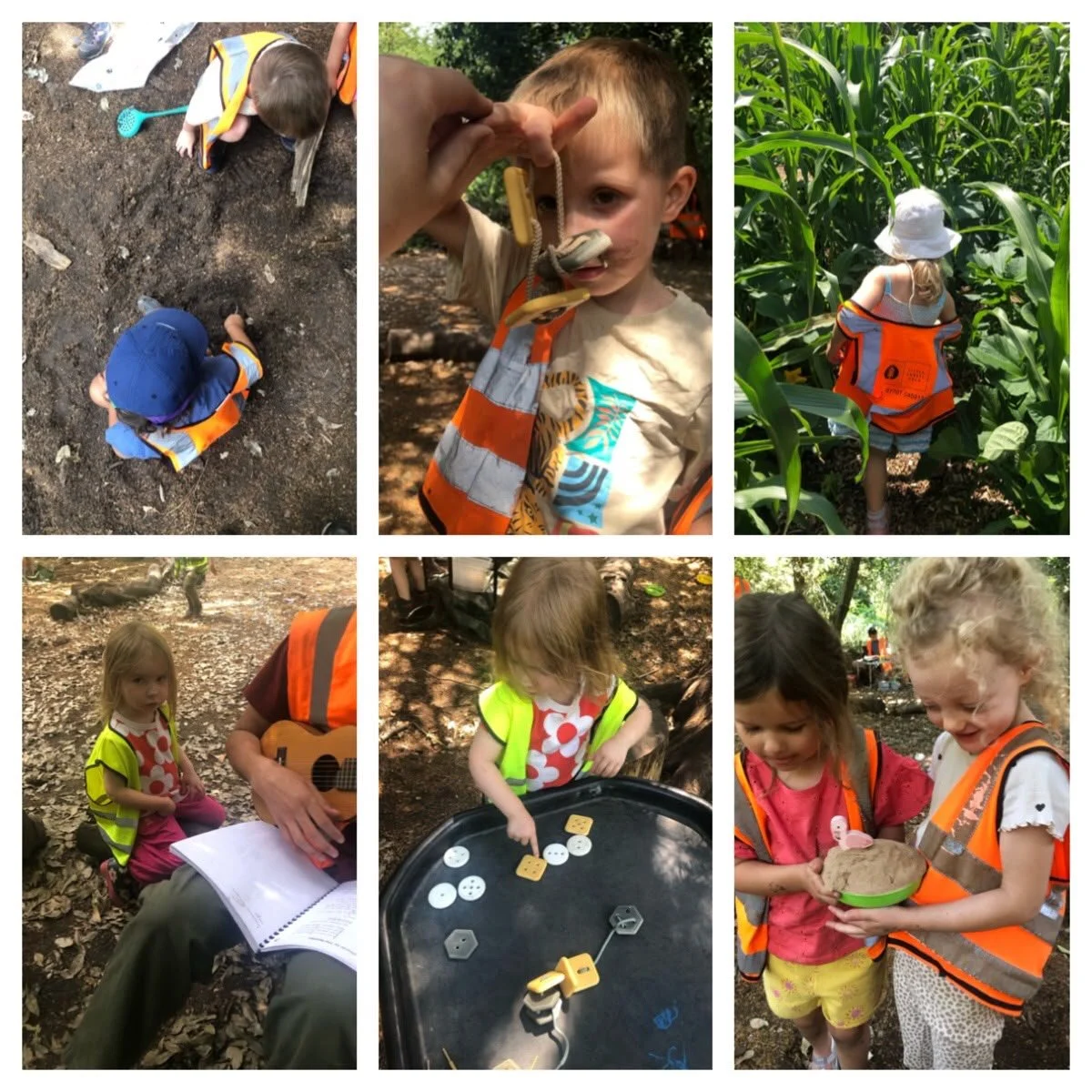 Chiswick - Cyanotype Experiment and Nature Exploration!