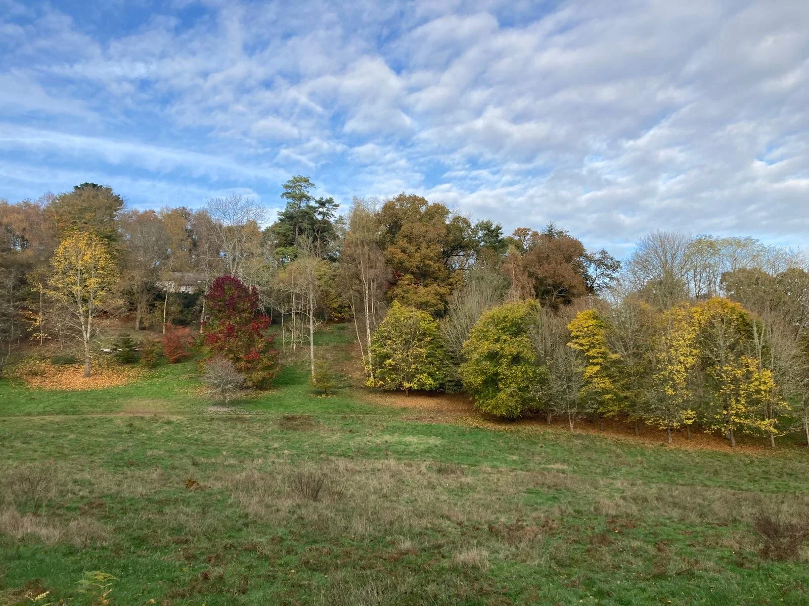 WhatsApp Image 2024-11-13 at 14.06.35.jpeg