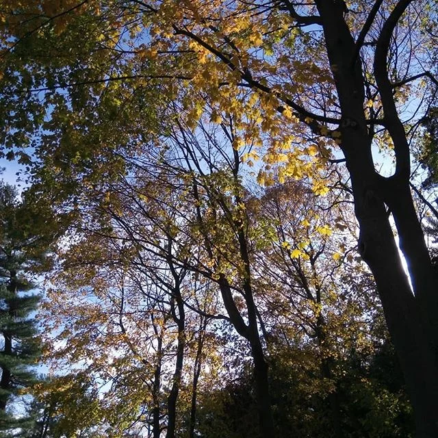 New York/Cold Spring Harbour