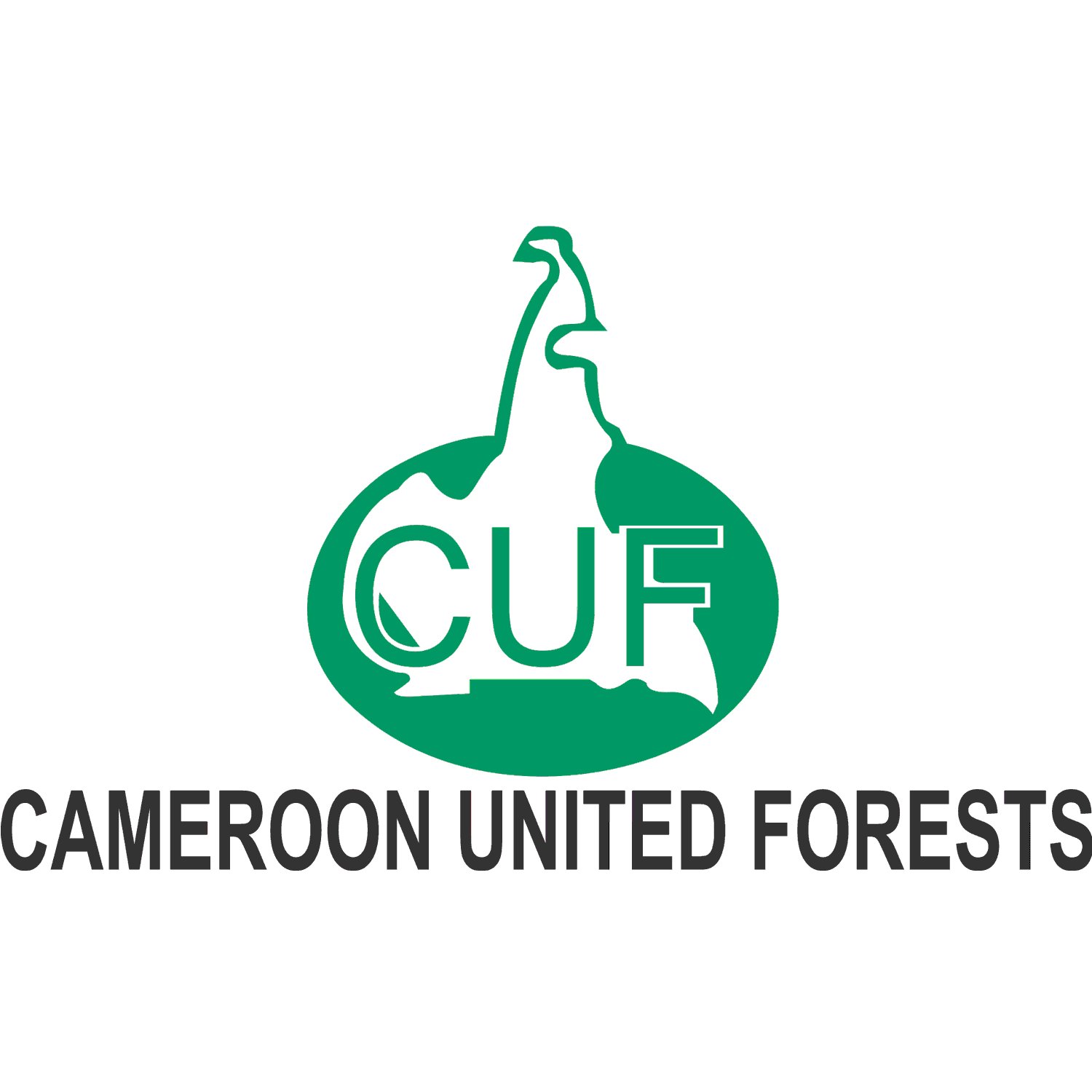 Cameroon-United-Forests.gif