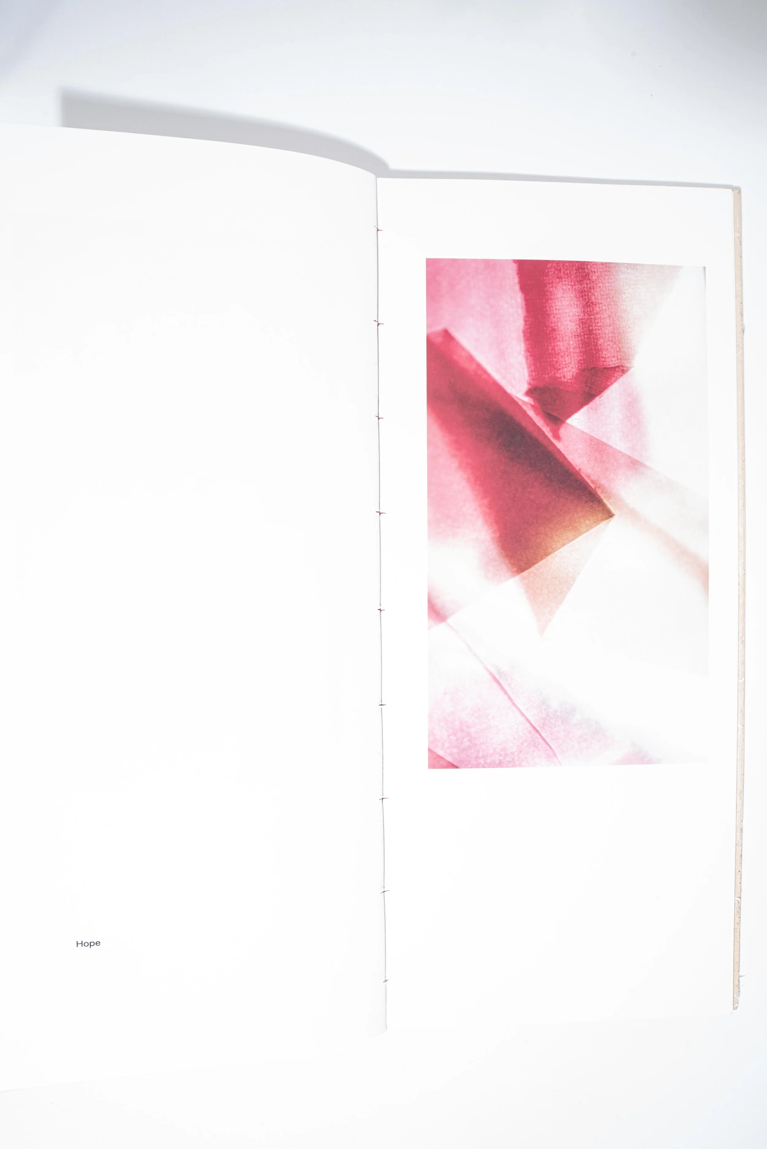 DSC_5911.jpg