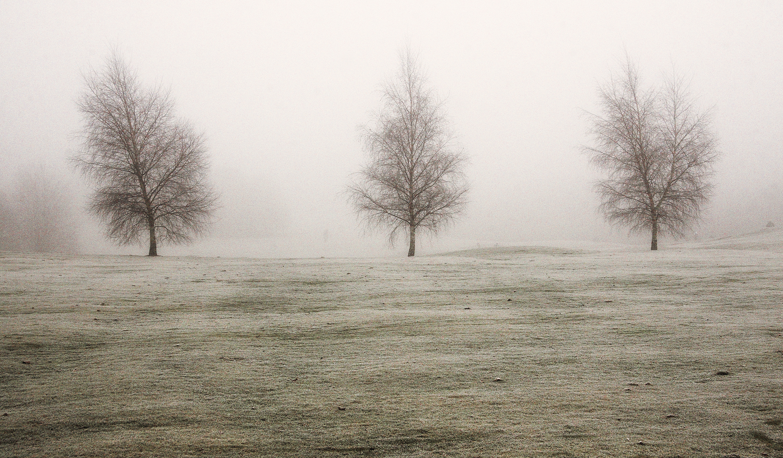 Allestree Park, Derbyshire #3