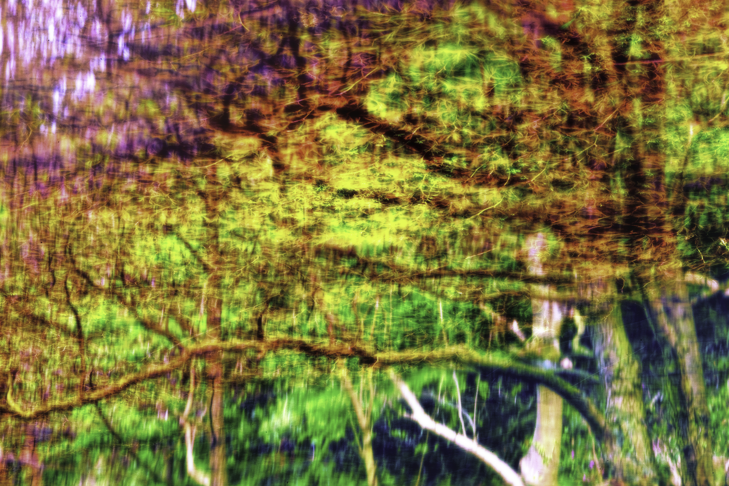 Dovedale, Derbyshire #2