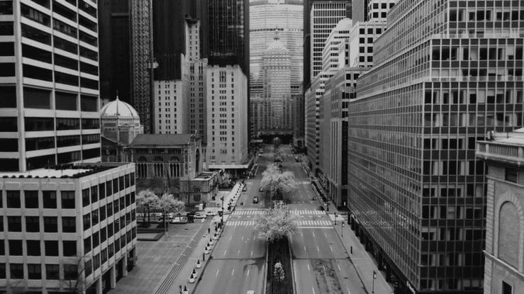 Facebook _ Born in Quarantine-high.gif