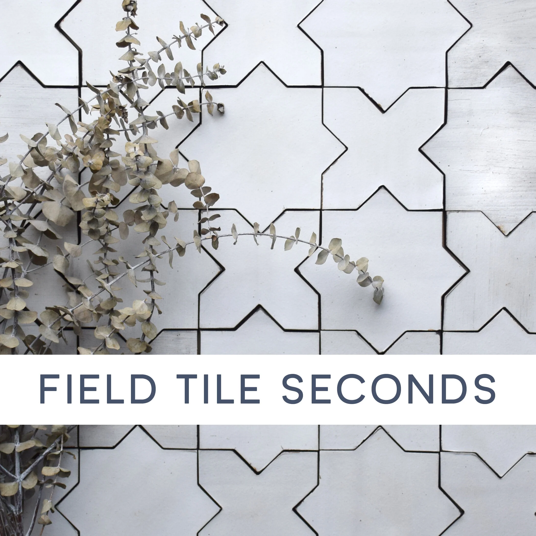 flm-seconds-2021-FIELD3.jpg