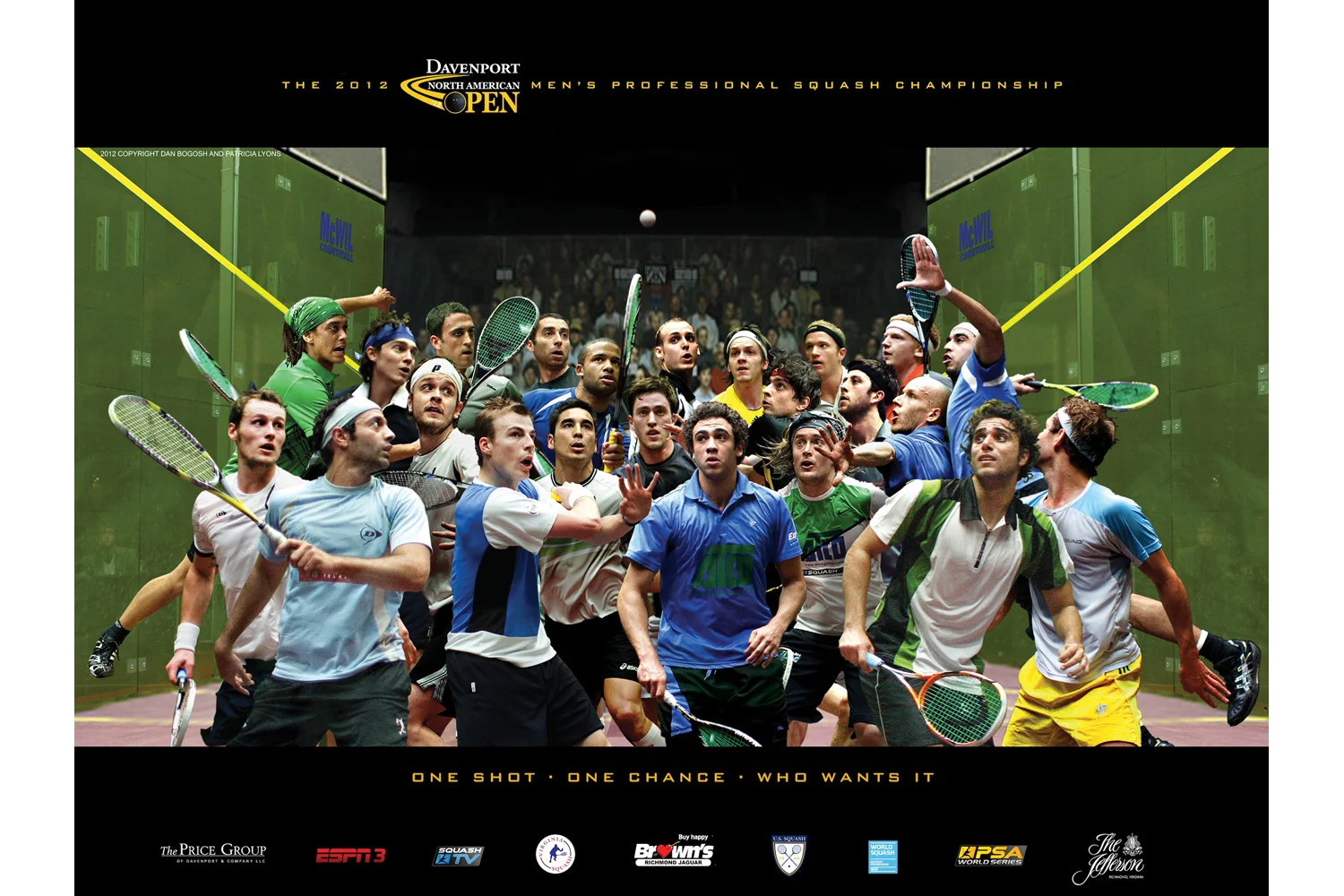 W.2012 DNAO POSTER logo.jpg