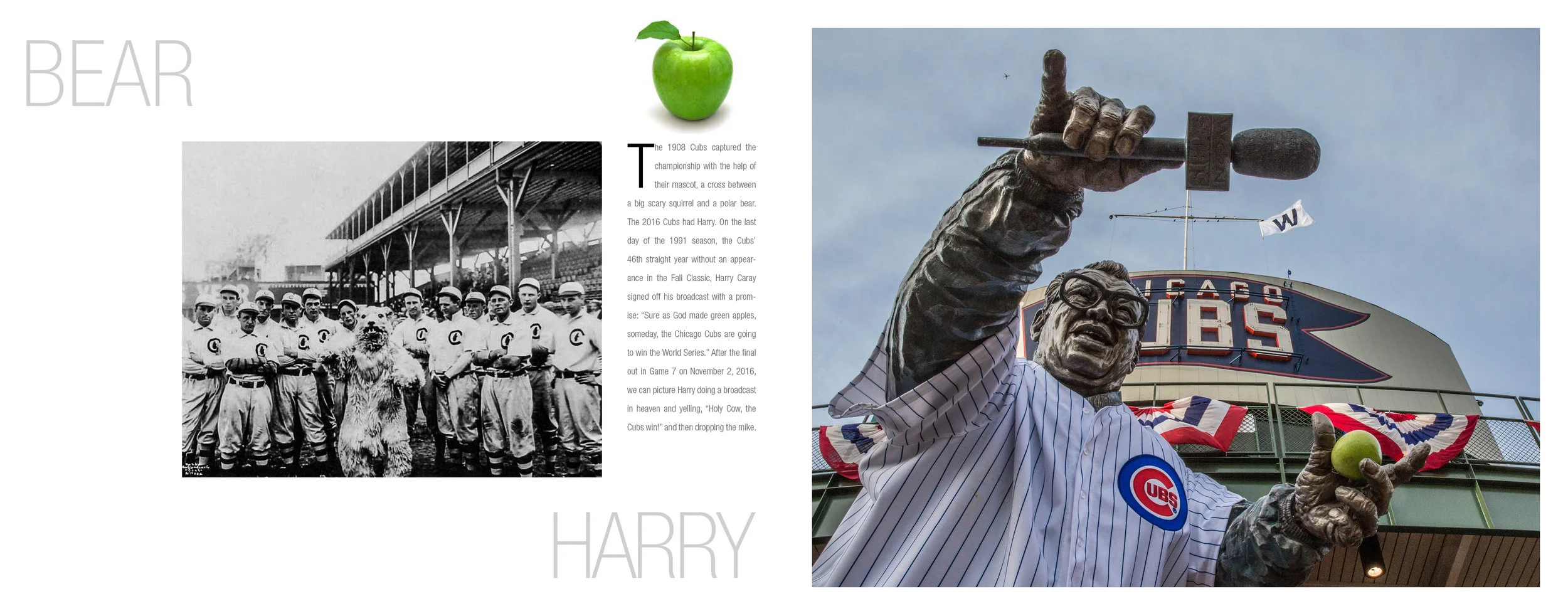 1908-2016 CUBS©Y21.jpg