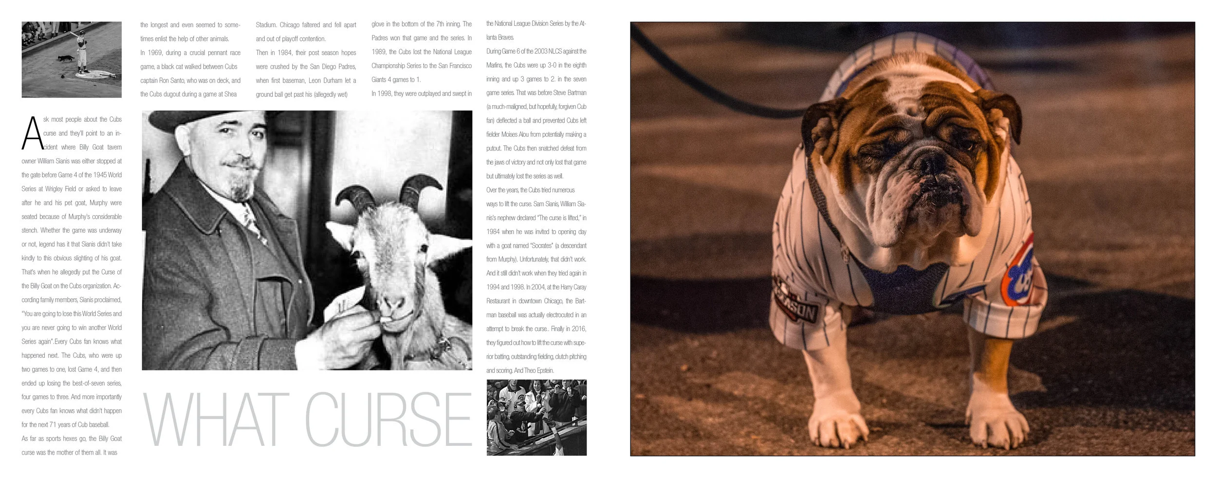 1908-2016 CUBS©Y24.jpg