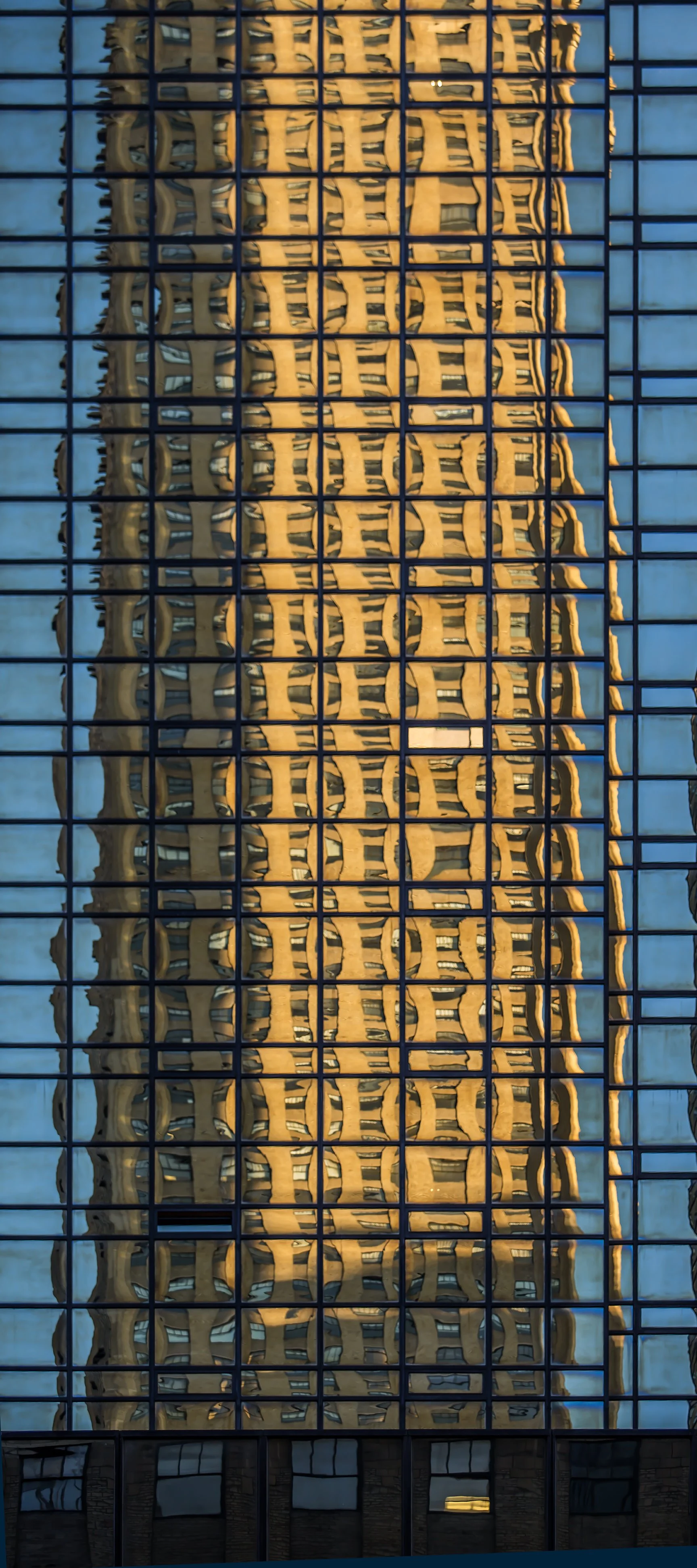 SunnySideTall-9944.jpg