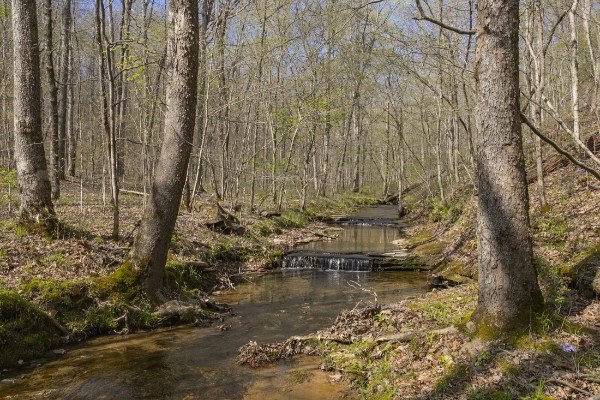 0 Fisher Grove Rd, Greenbrier, TN 37073; MLS #: 2512135