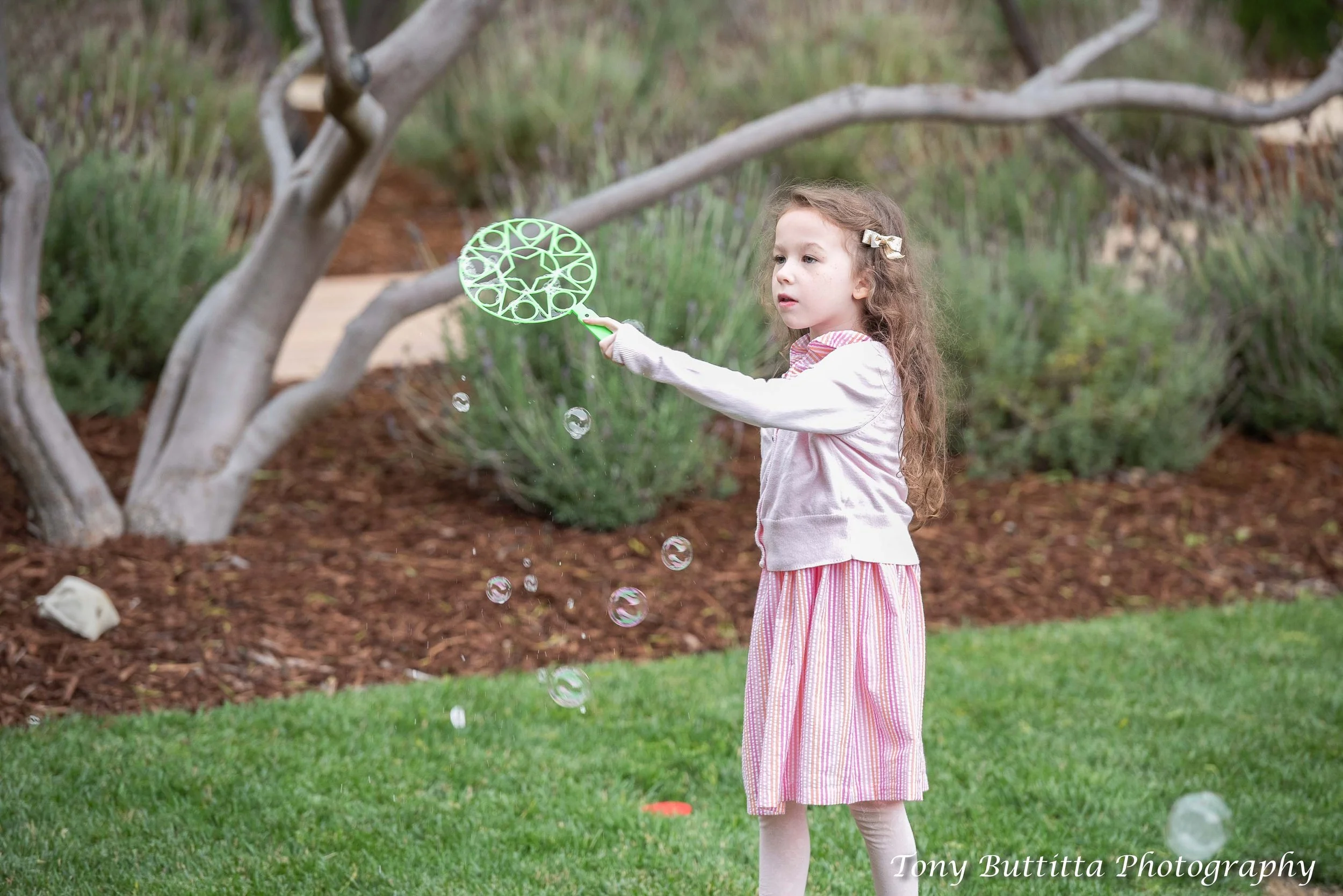 KNOX NEHDAR-305-2.JPG