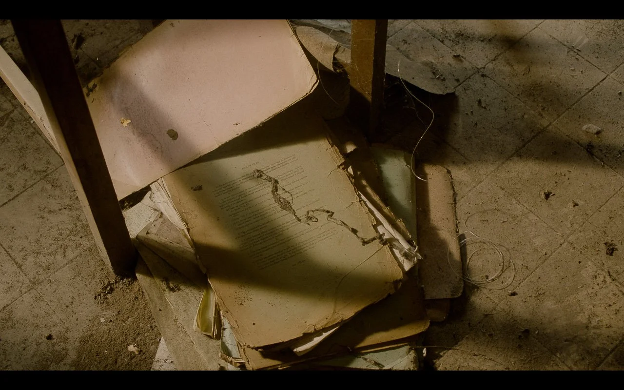 REGRADE for web_.jpg