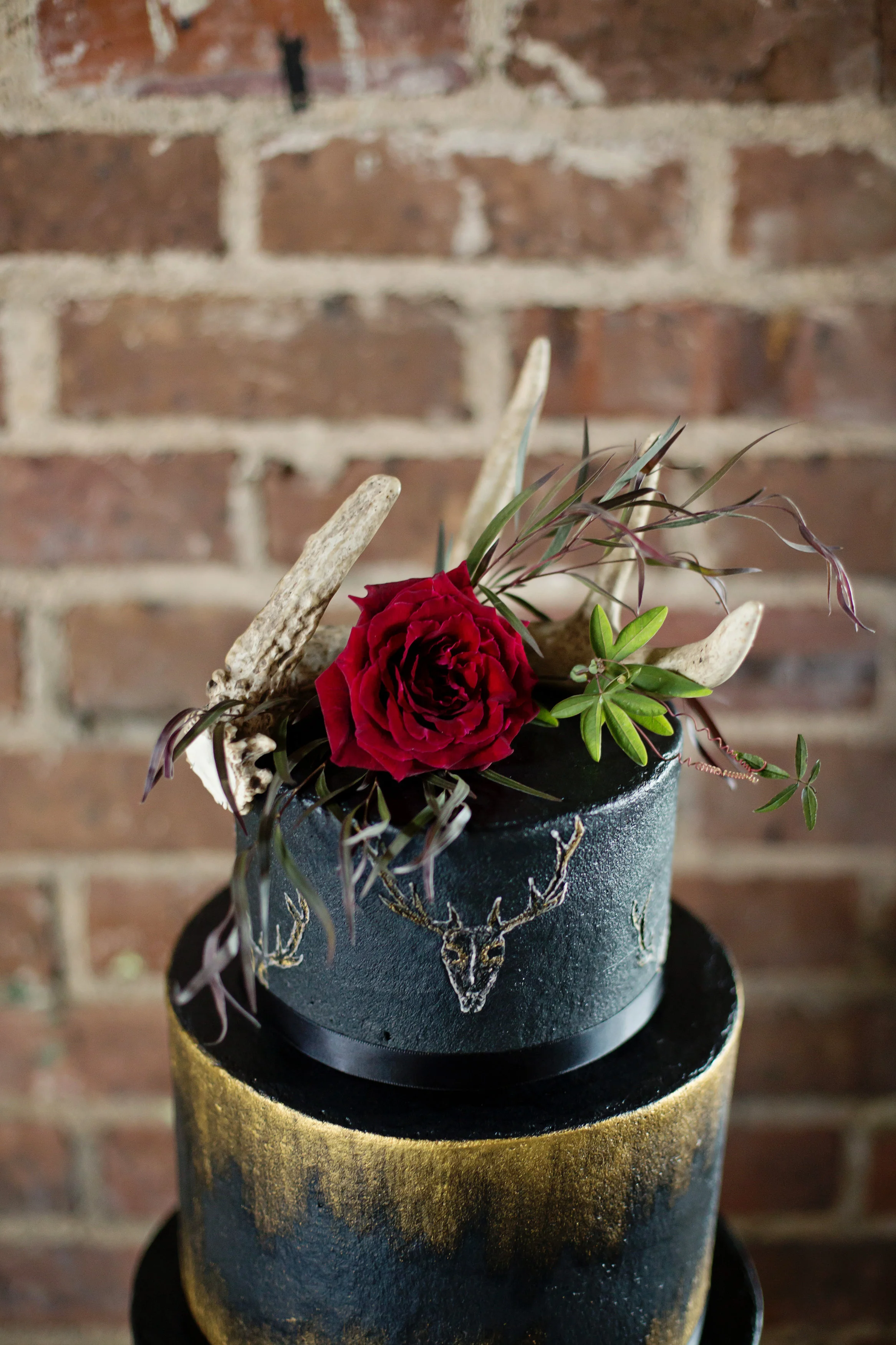 Suzanne Carey Photography-0127.jpg