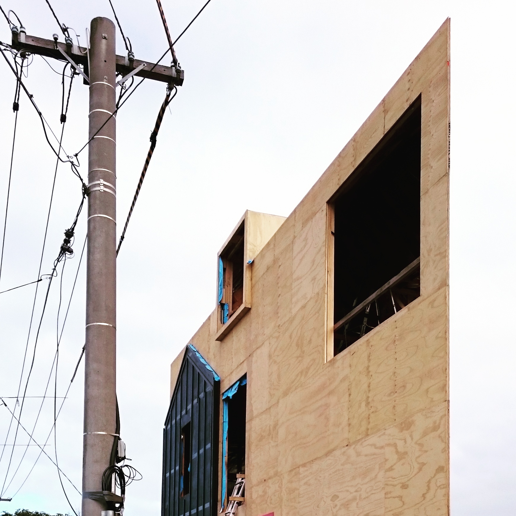 ACUTE HOUSE ON SITE | slowly slowly pointy pointy