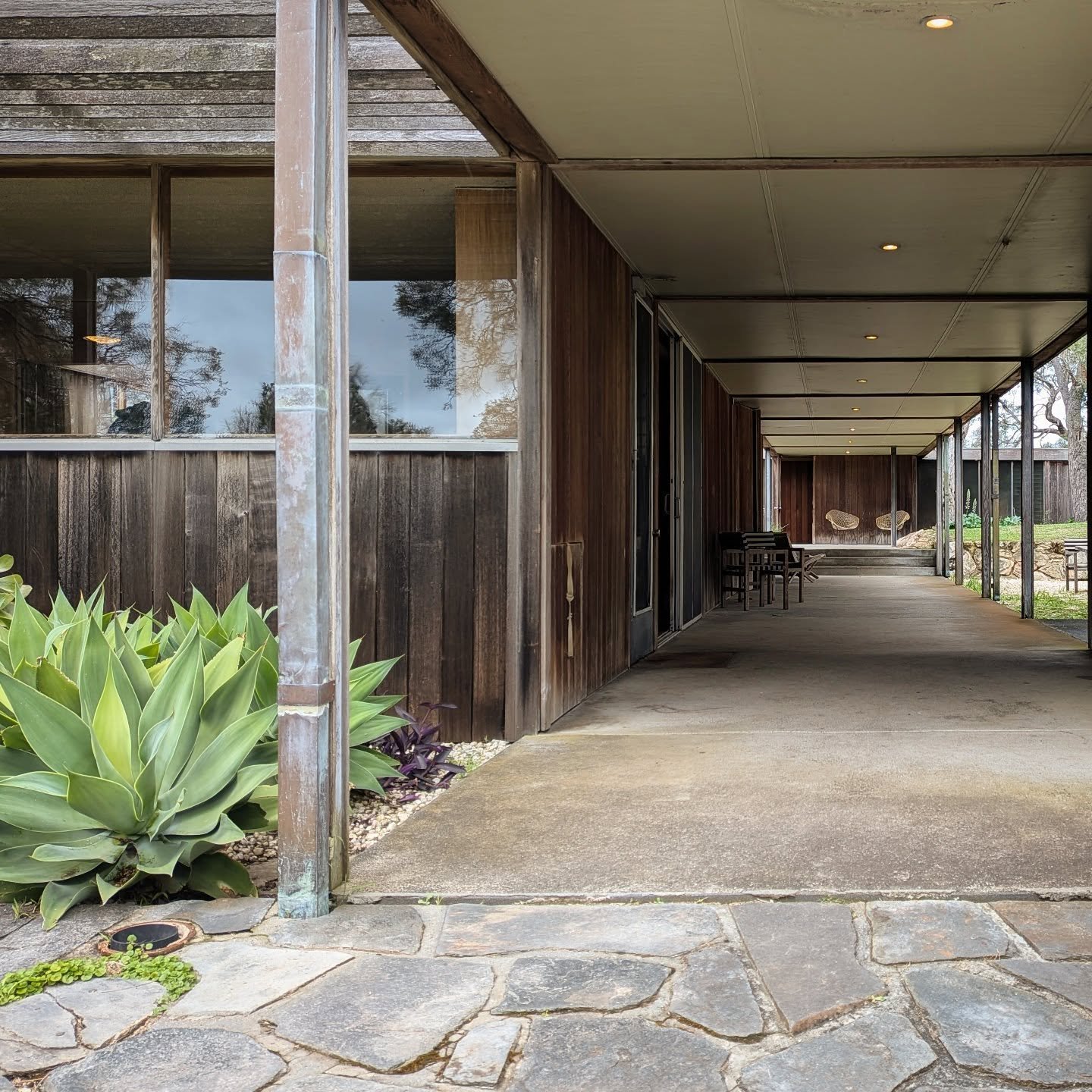 #DoCoMoMo House tour: Grimwade House by #McGlashanEverist 1960-1962. So excited to see this and it is SUPERB! Never opened to the public before. 

#Rye #australianmodern #modernbeachhouse