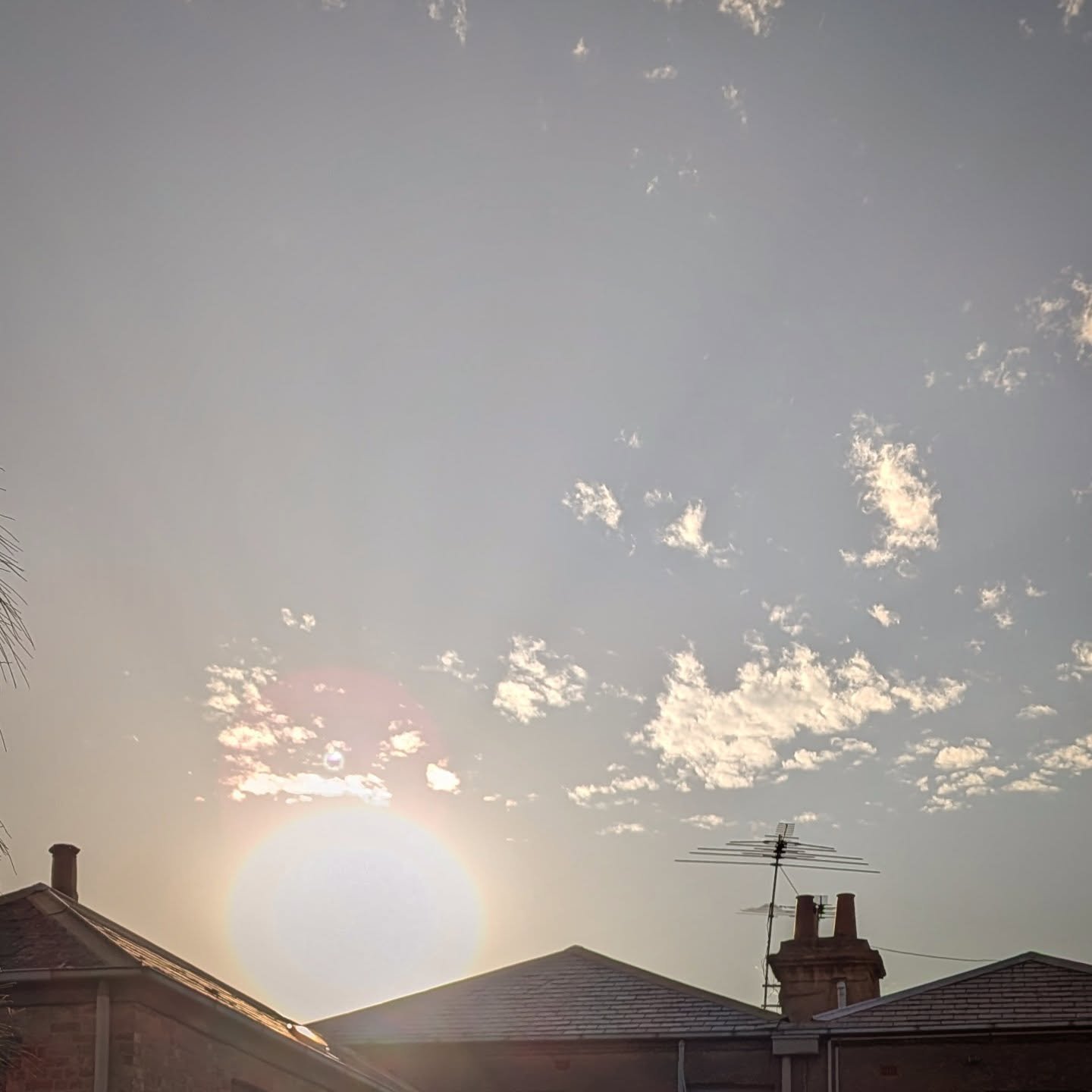 Phew! Hope you all survived the bake today. It's still 41 degrees but apparently "cooling" down now after the peak of 43 degrees 🥵