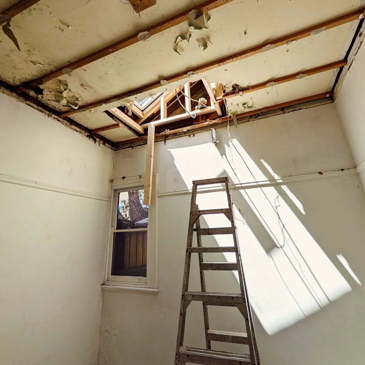 Under Construction | What a difference a skylight makes. Goodbye gloom! Hello sunshine! 🌞
> 🛠️: @mittyandprice
#OOFarchitecture #OOFWIP #BattenPorchHouse #altsandadds