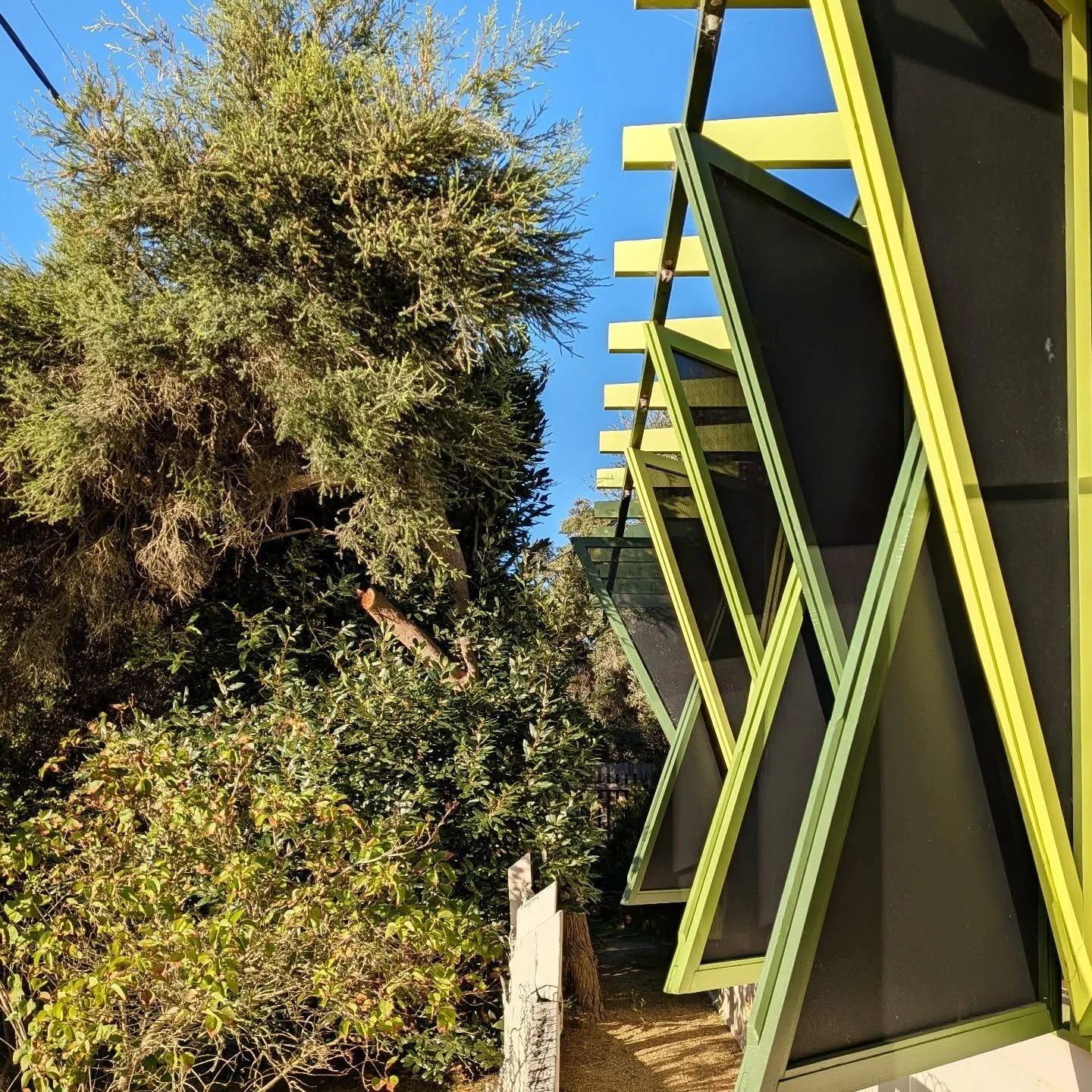 Fab easter weekend at #GreenShutterHouse thanks to our lovely clients J+B 🩷
#OOFarchitecture #breamlea #beachhouse