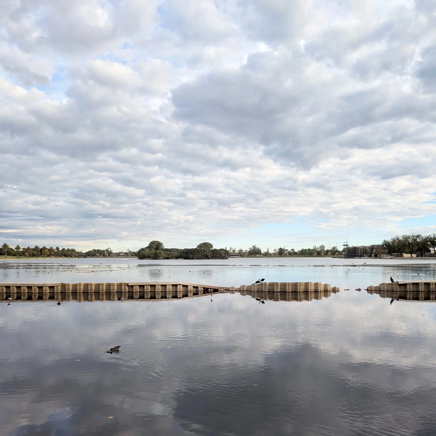 Albert Park Lake looking epic this afternoon on @janetbolitho's Anzac Station to Albert Park tour

> #JanesWalk #JanesWalkMelb #albertpark
