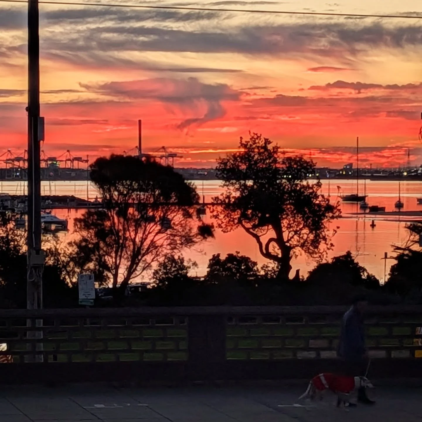 It's like a #TonyClark painting out there tonight 
#stkildabeach