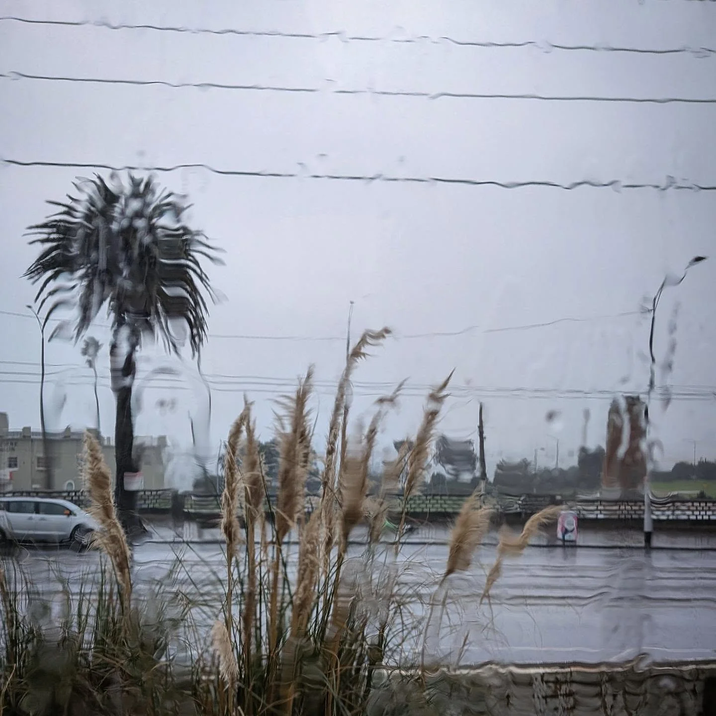 Yep. Melbourne winter does not disappoint. That's not rain. That's tears 😢