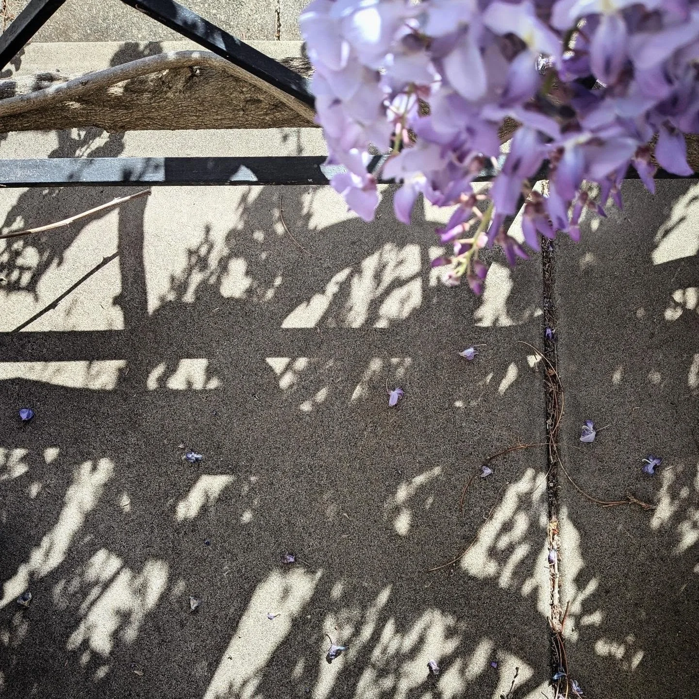Happy equinox! Hope all the good architects out there have been out verifying their shadow diagrams today

#stkilda #equinox #22september