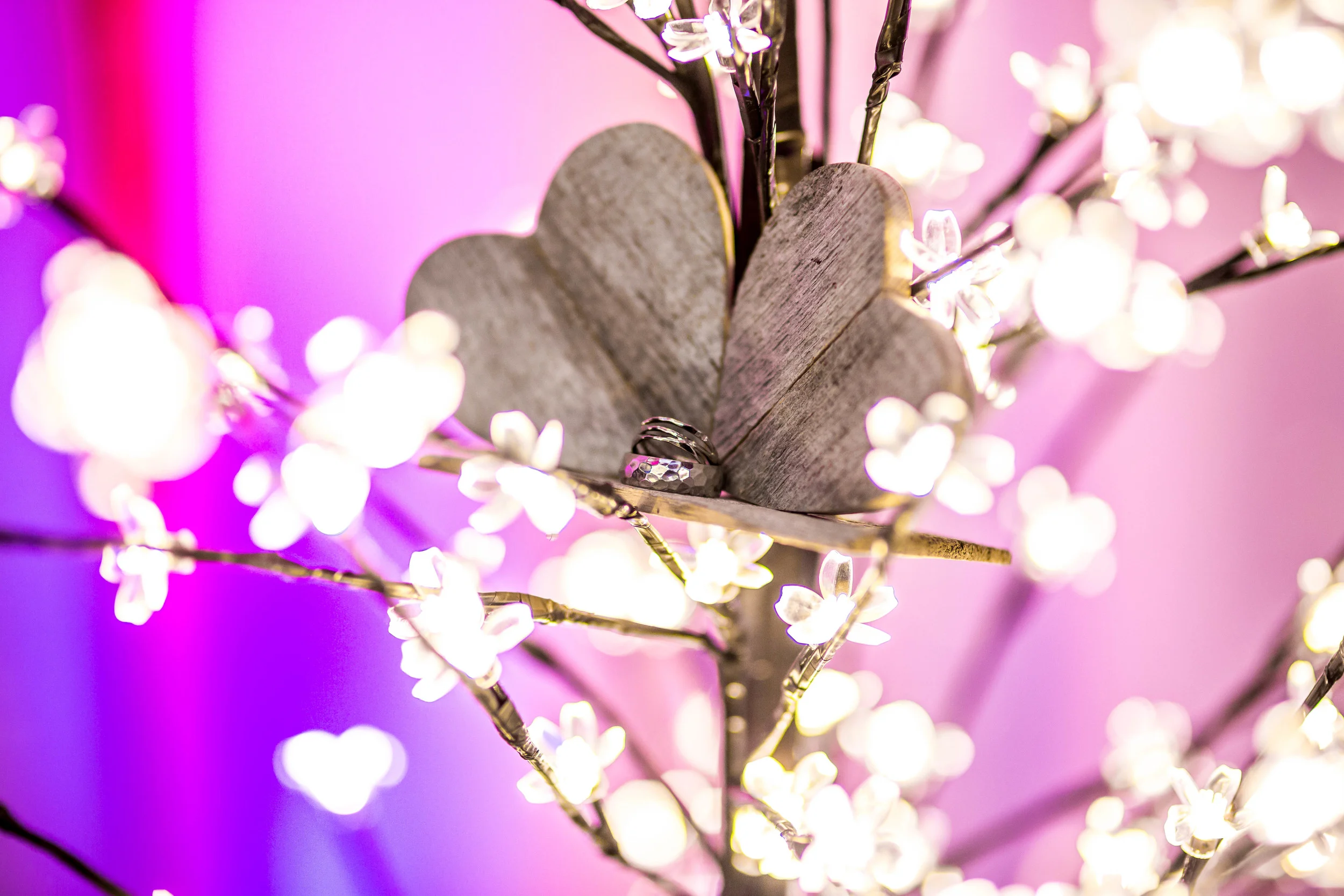 Loveland Wedding Photographer