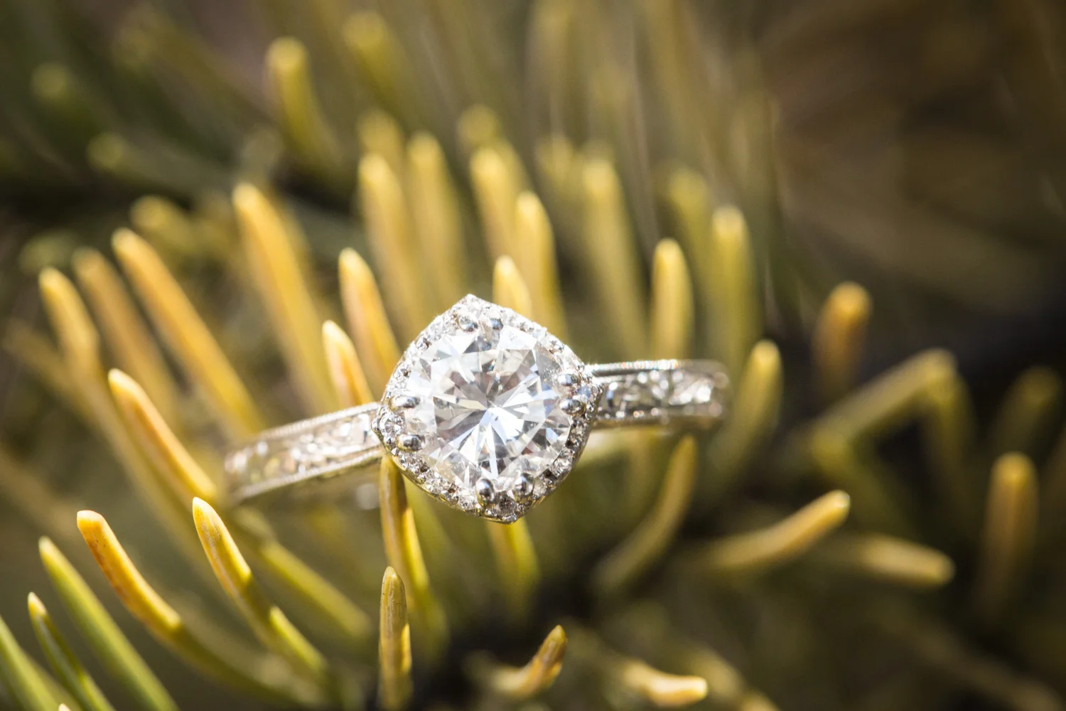 Breckenridge Engagement