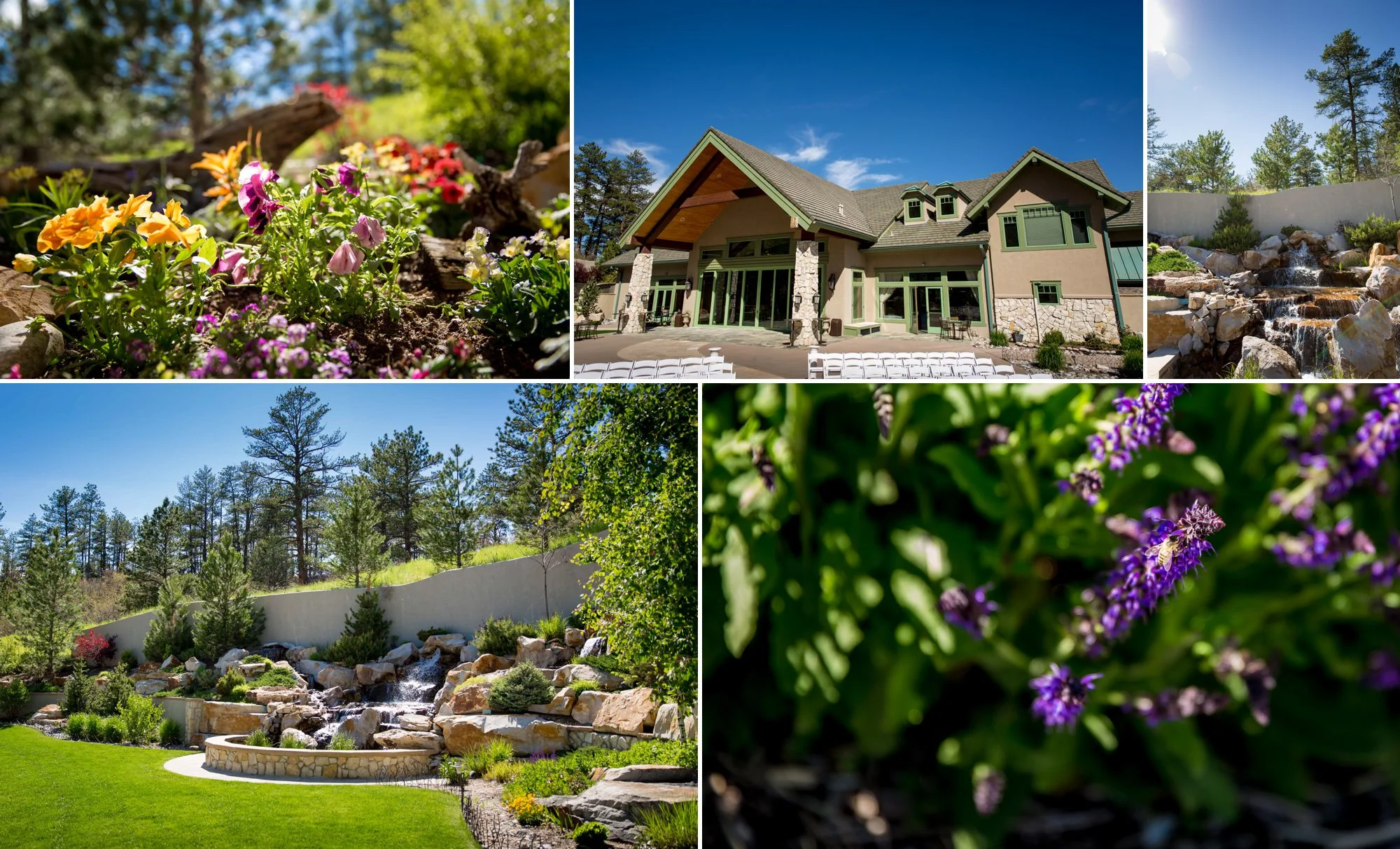 Cielo at Castle Pines