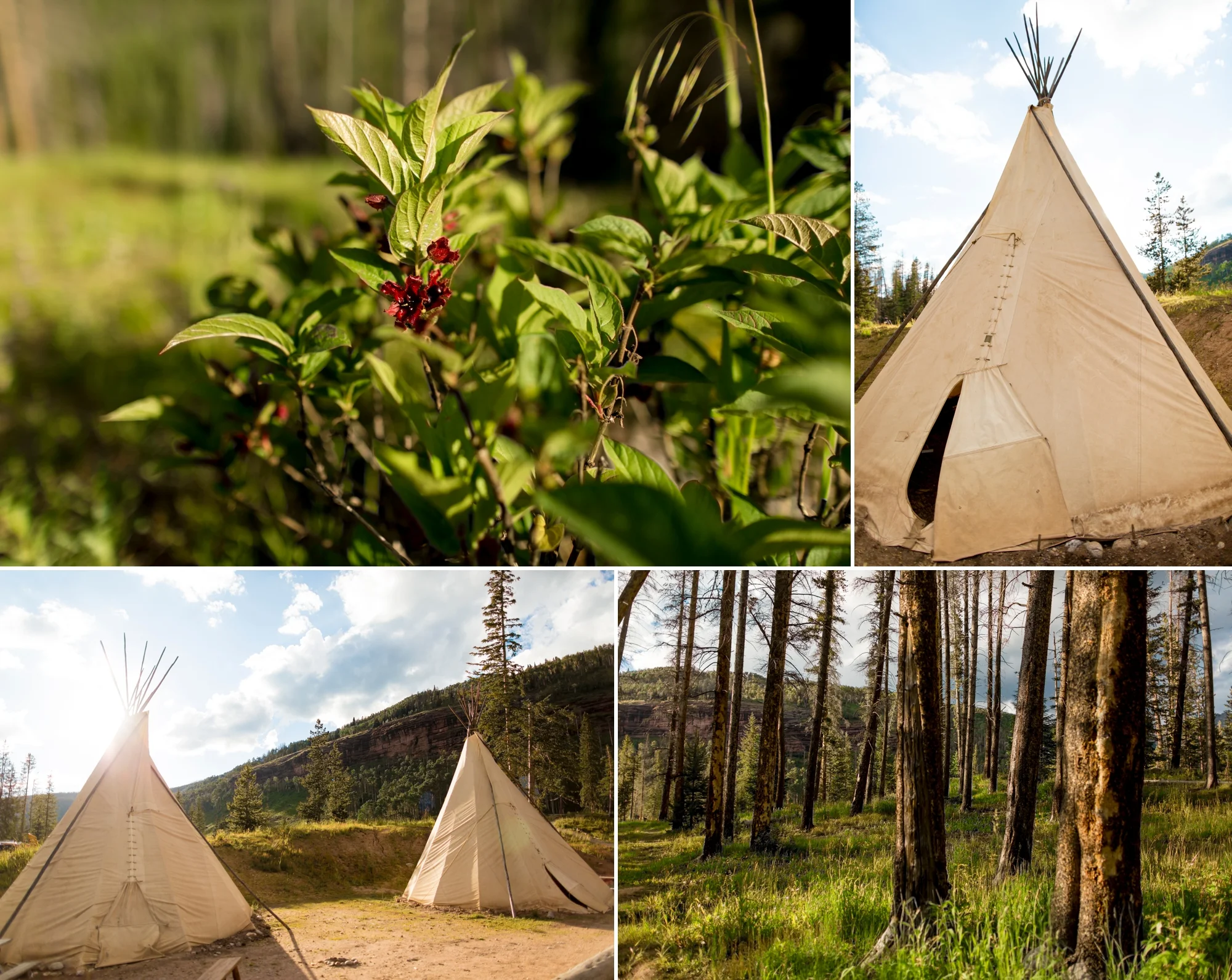 Piney River Ranch, Vail, CO