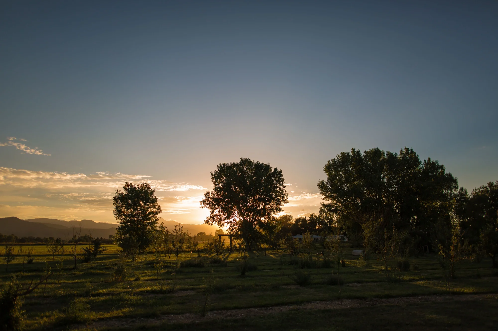 Gorgeous Ya Ya Farm & Orchard sunset!