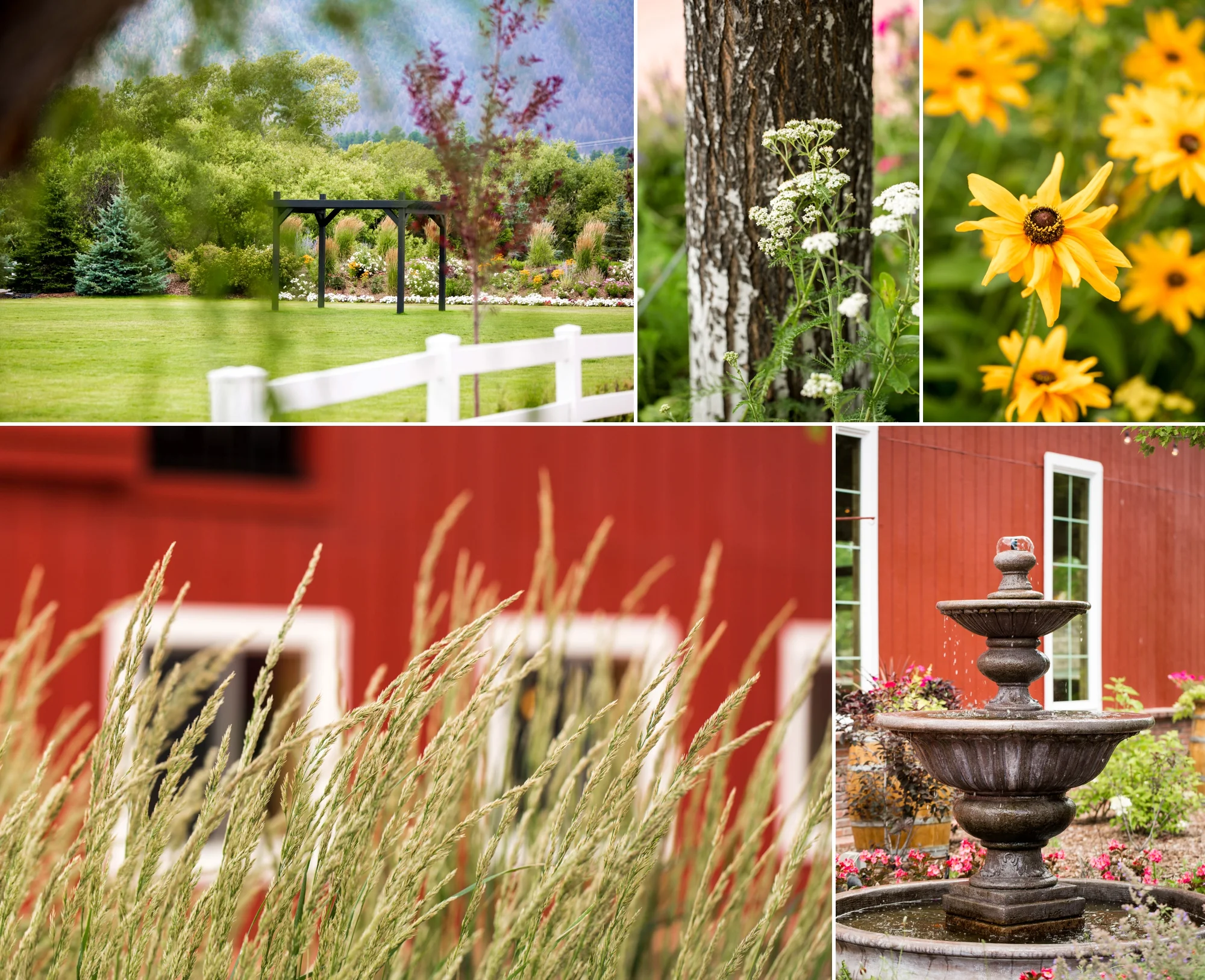 Crooked-Willow-Farms-Gardner-Effect-Wedding-Planner-Aldabella-Photography 3.jpg