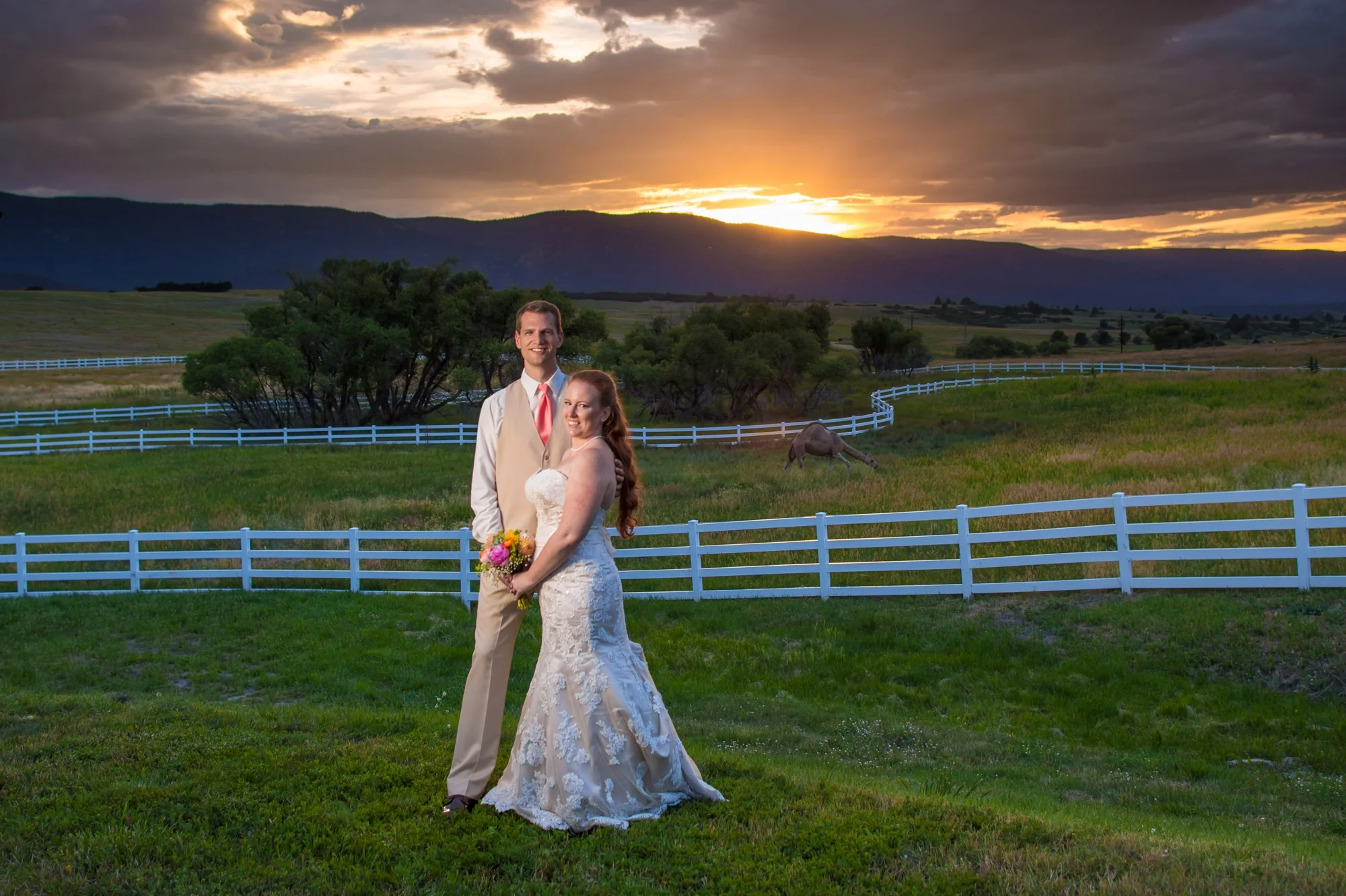Crooked Willow Farms Wedding {Henry & Maggie}