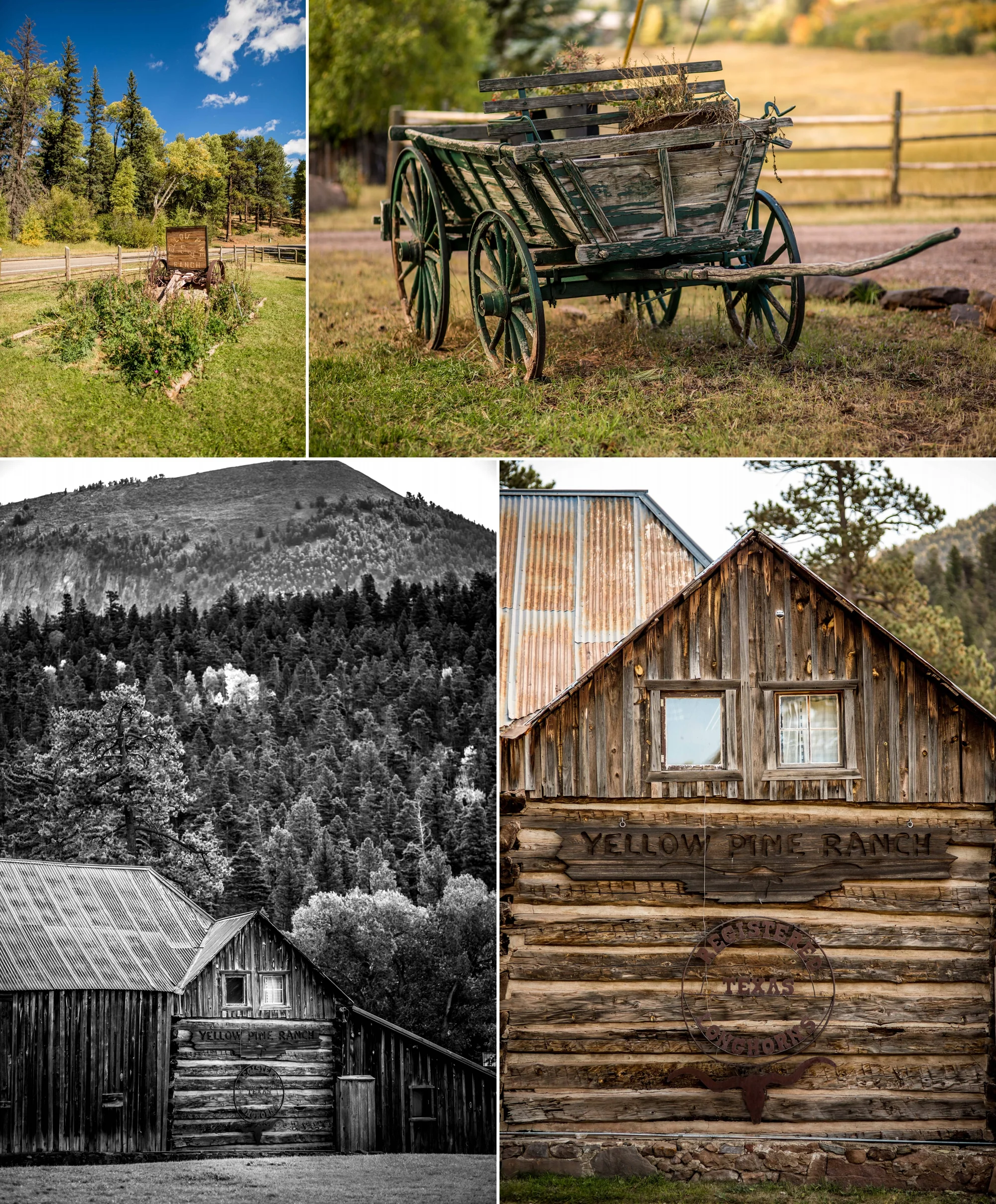 Yellow Pines Ranch Wedding - by Aldabella Photography