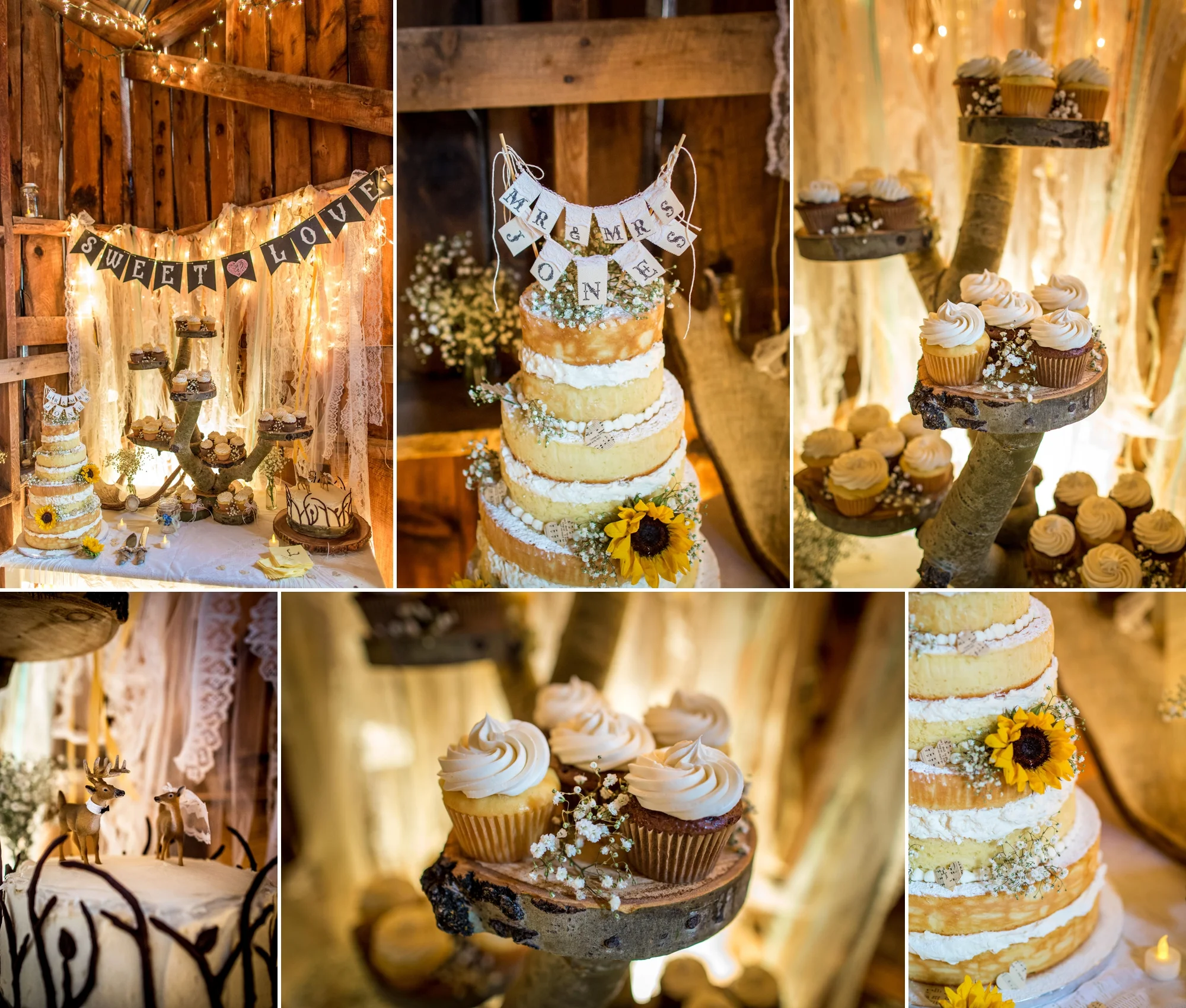 Yellow Pines Ranch Wedding - by Aldabella Photography