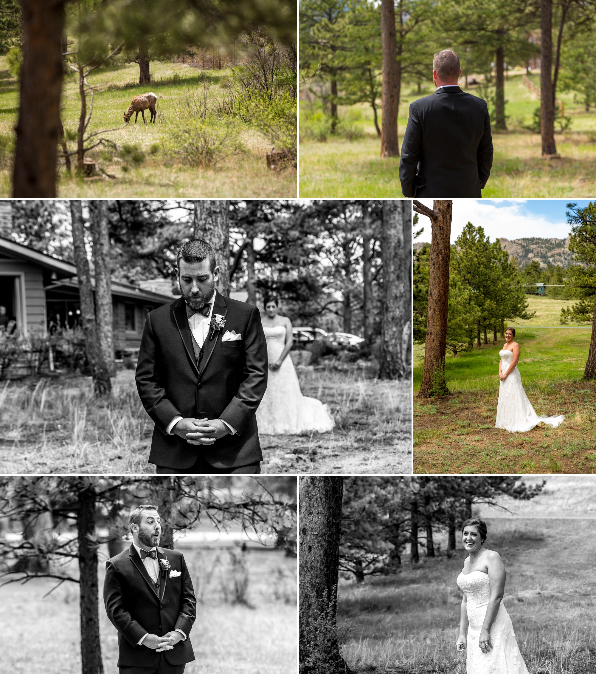 Stanley Hotel Wedding by Aldabella Photography