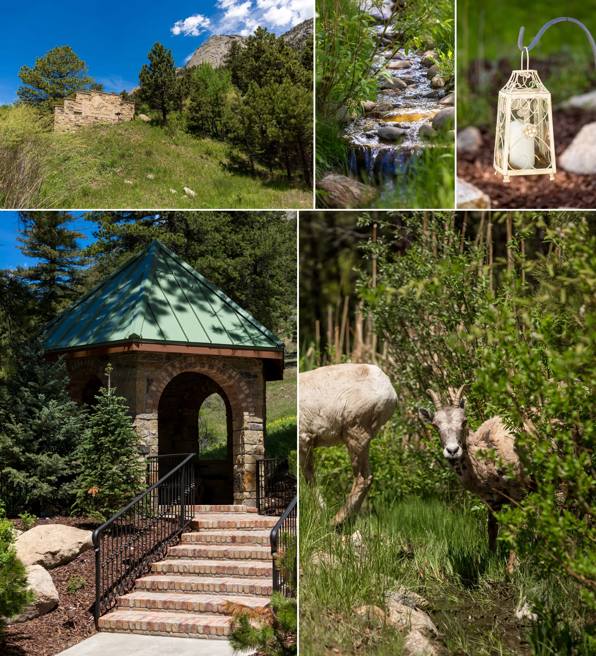 Della Terra Mountain Chateau Weddings by Aldabella Photography