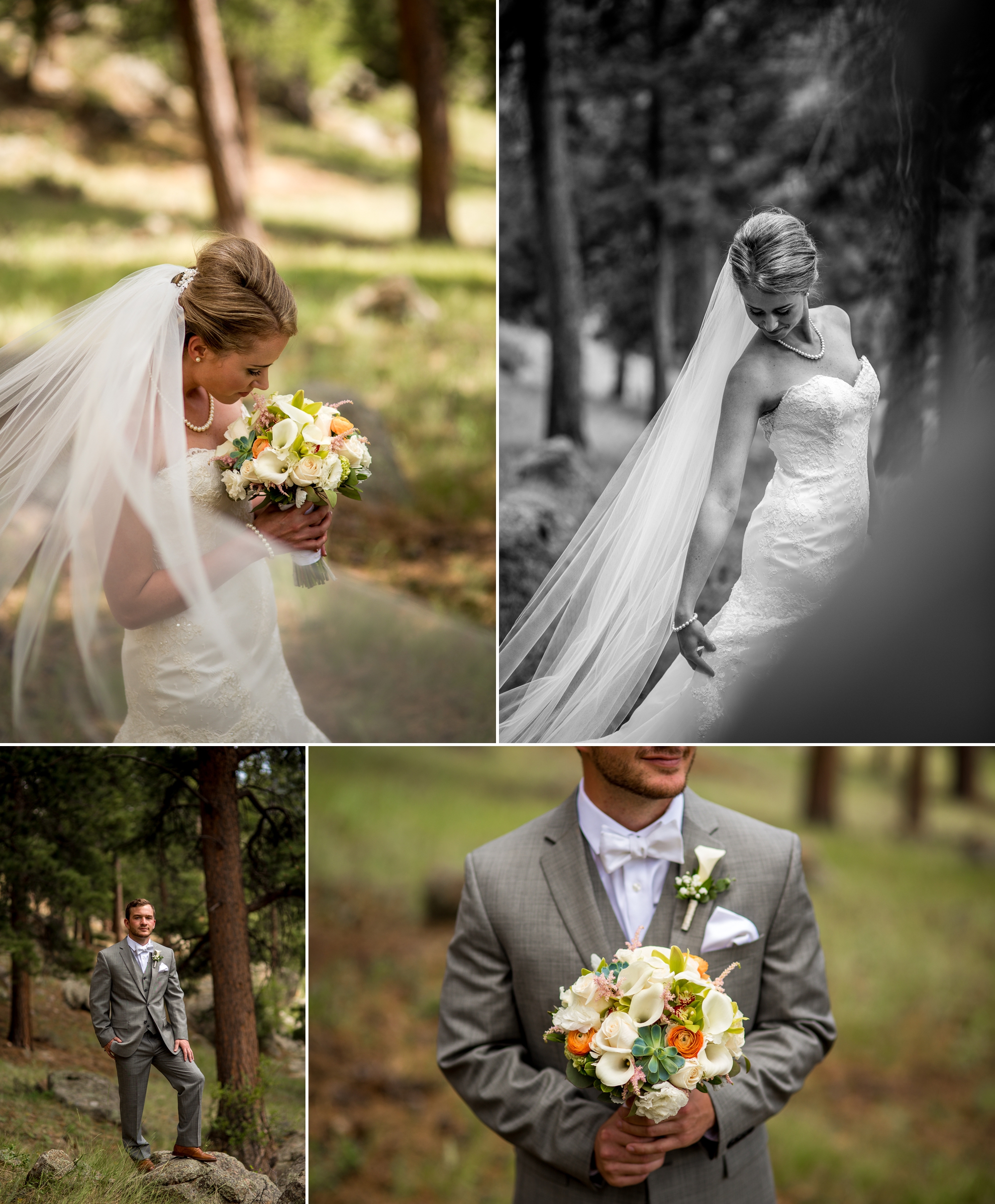 Della Terra Mountain Chateau Wedding Photographer